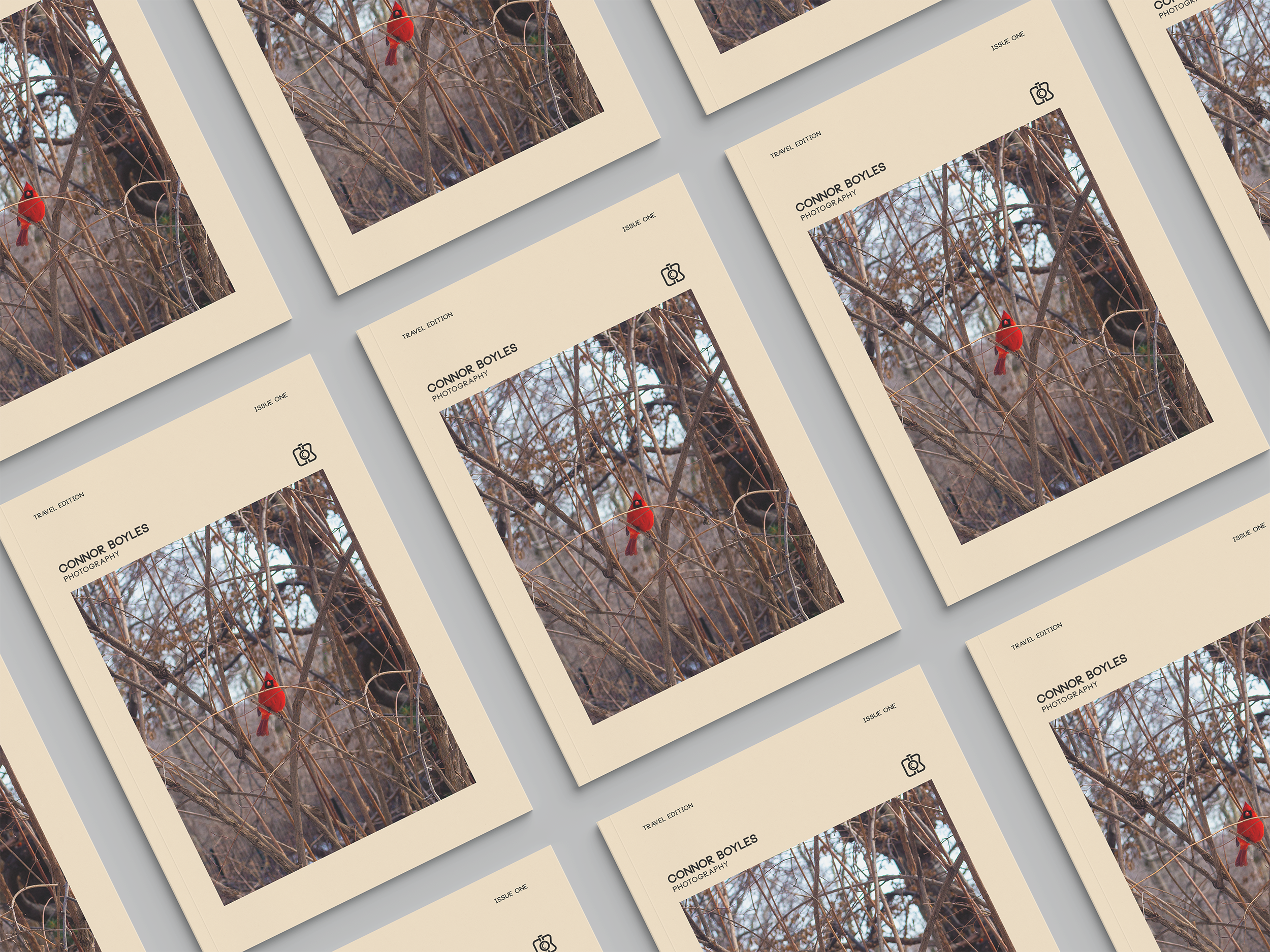 CB Book Mockup 2.png