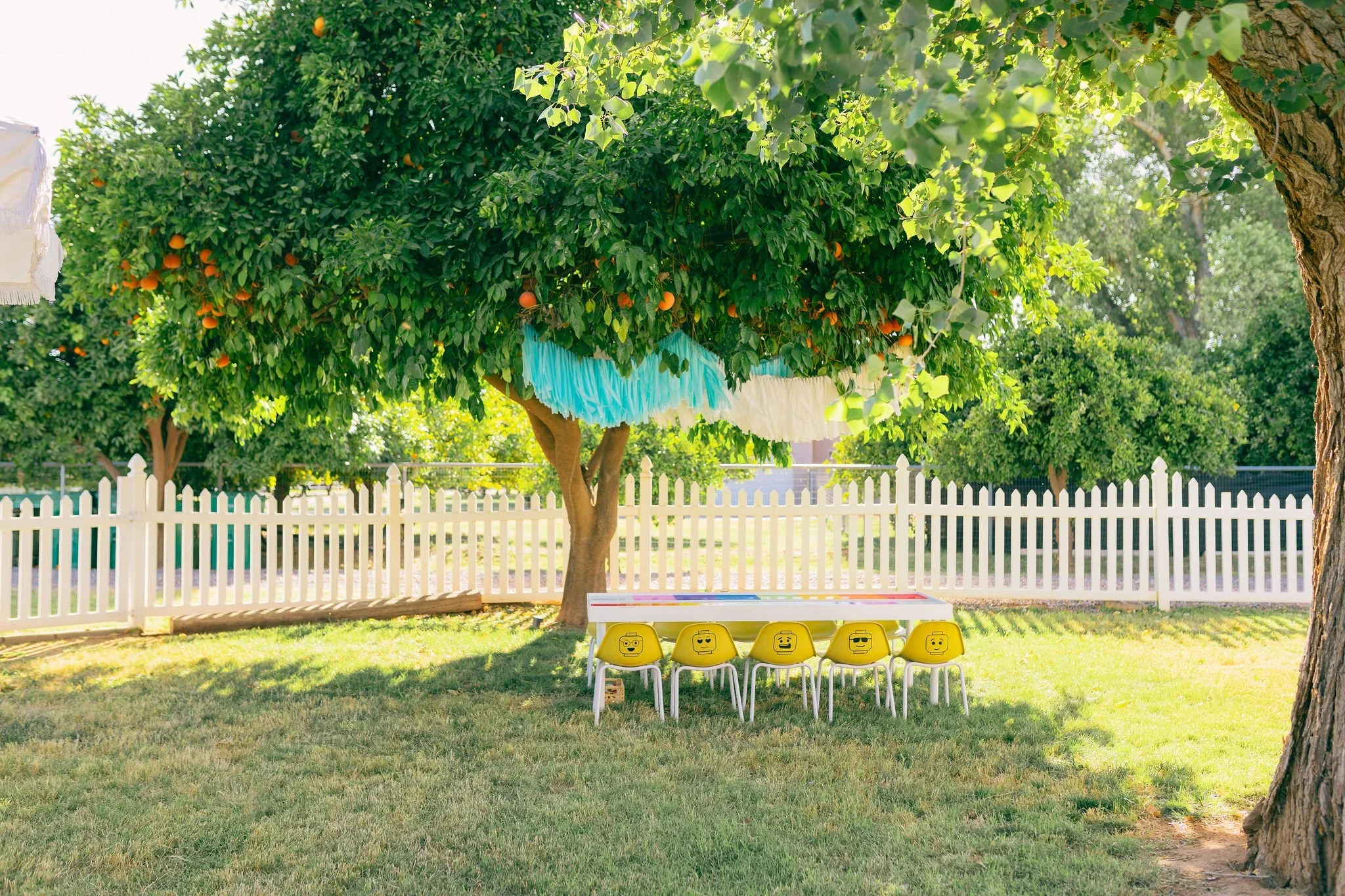 Backyard with a large tree bearing orange fruit, decorated with blue and white fabric, and a white picket fence. In front of the tree, a long table with chairs featuring various emoji faces, set on a grassy lawn.