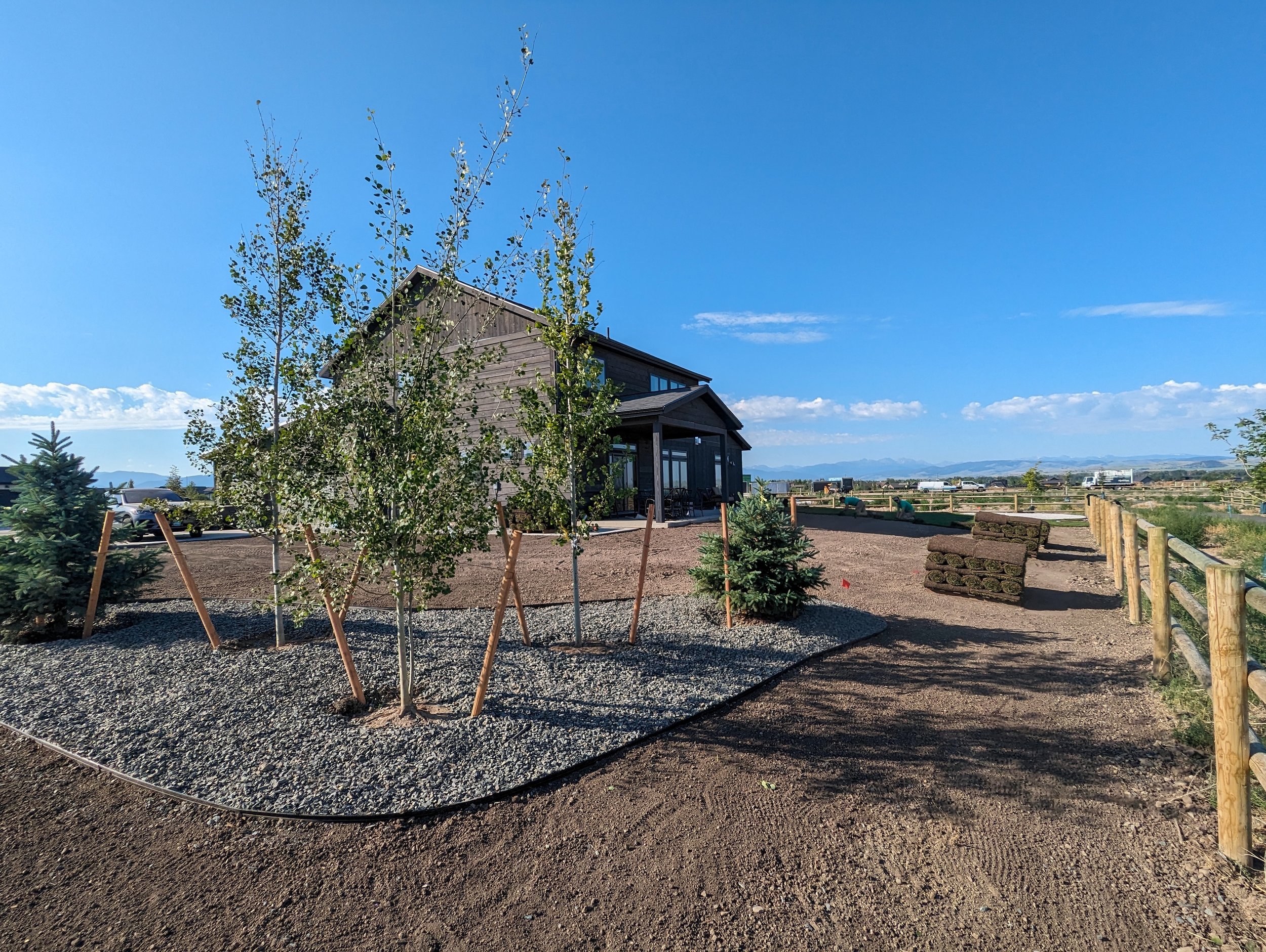 Newly installed decorative tree and shrub planting in Bozeman, MT