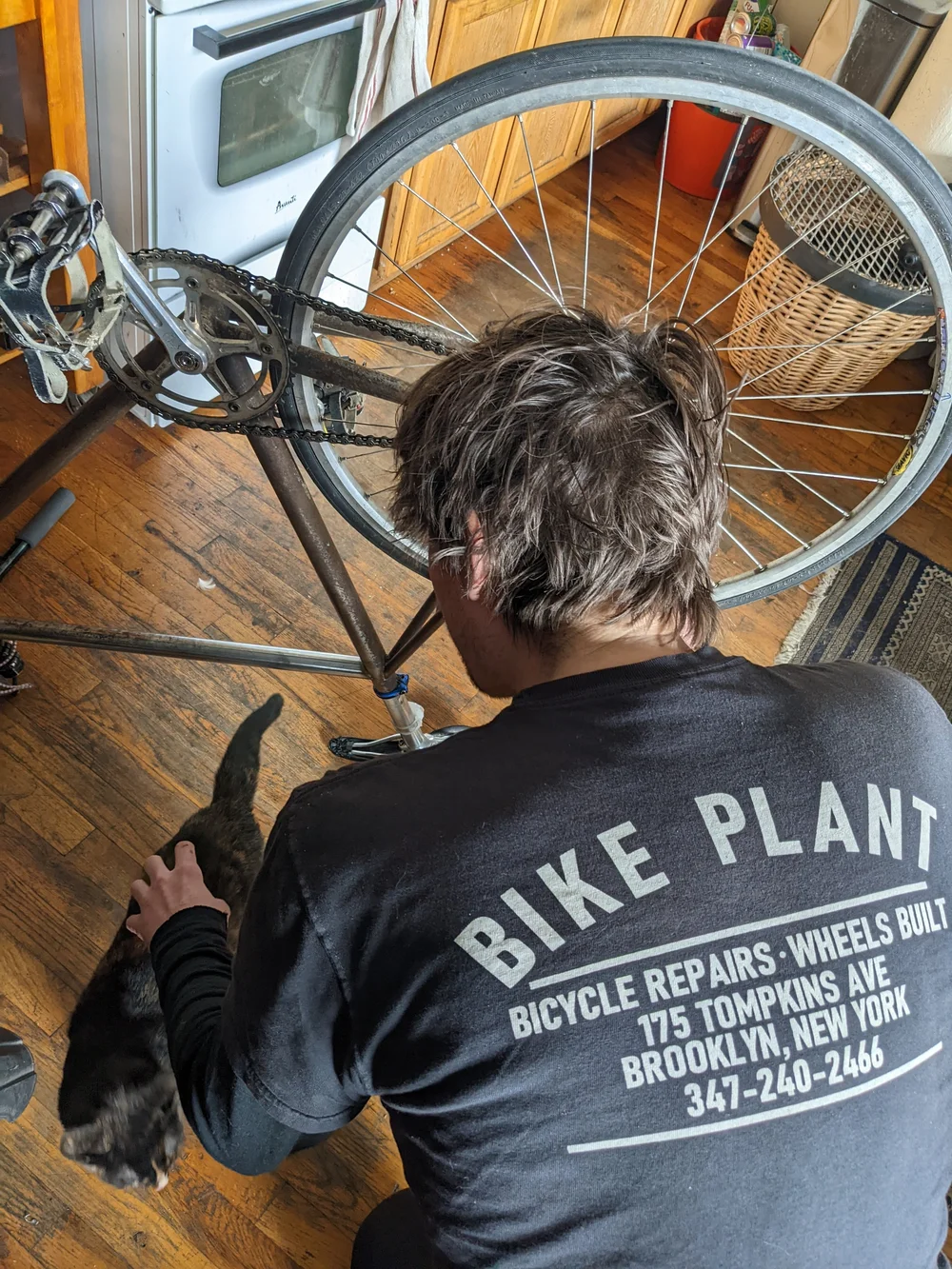 Bicycle Repair Bronx Bicycle Shop Bike Shops In The 2025 Bronx