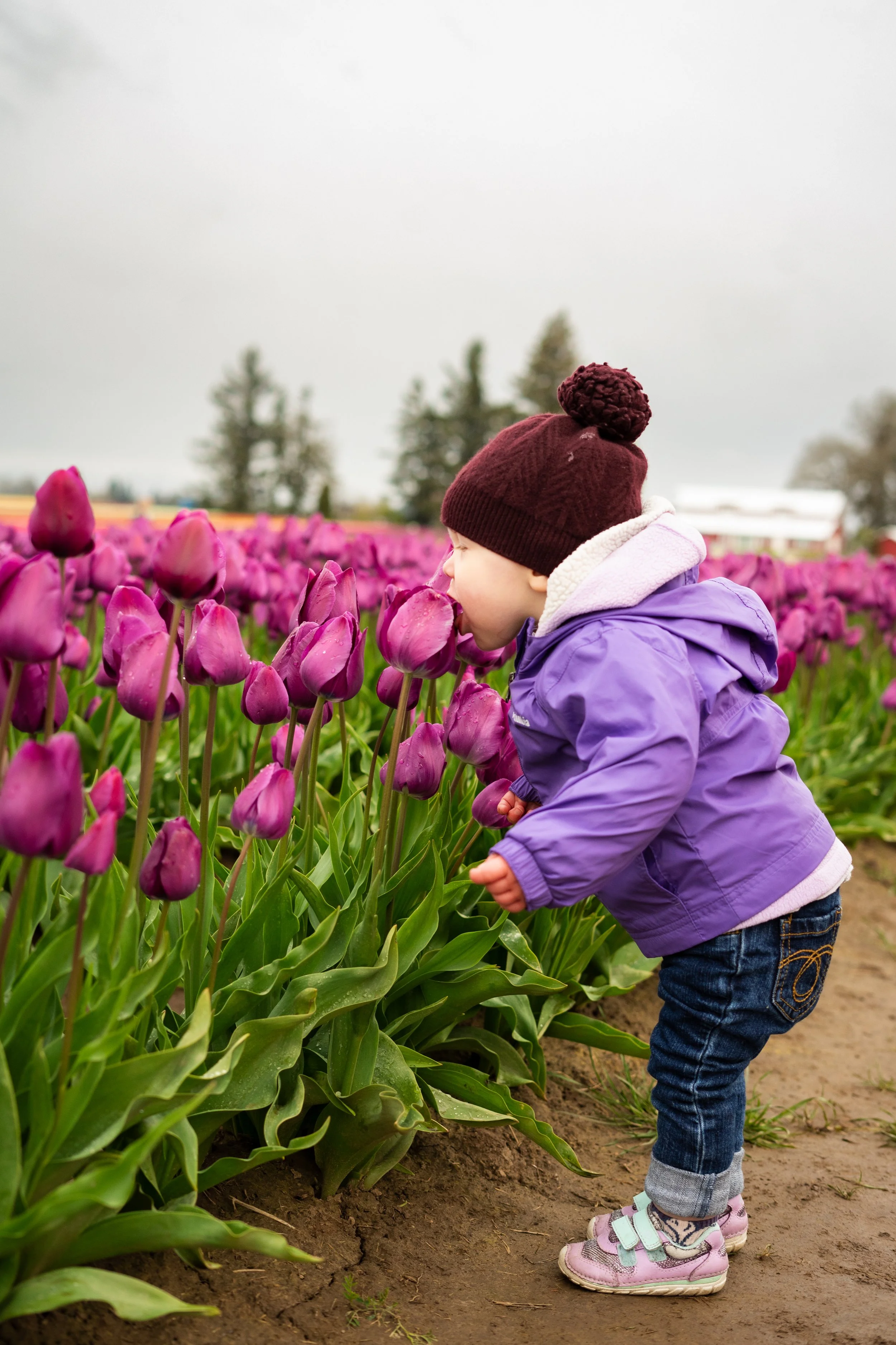 Tulip Farm Photography by Karina Ballard of Karina B. Photography