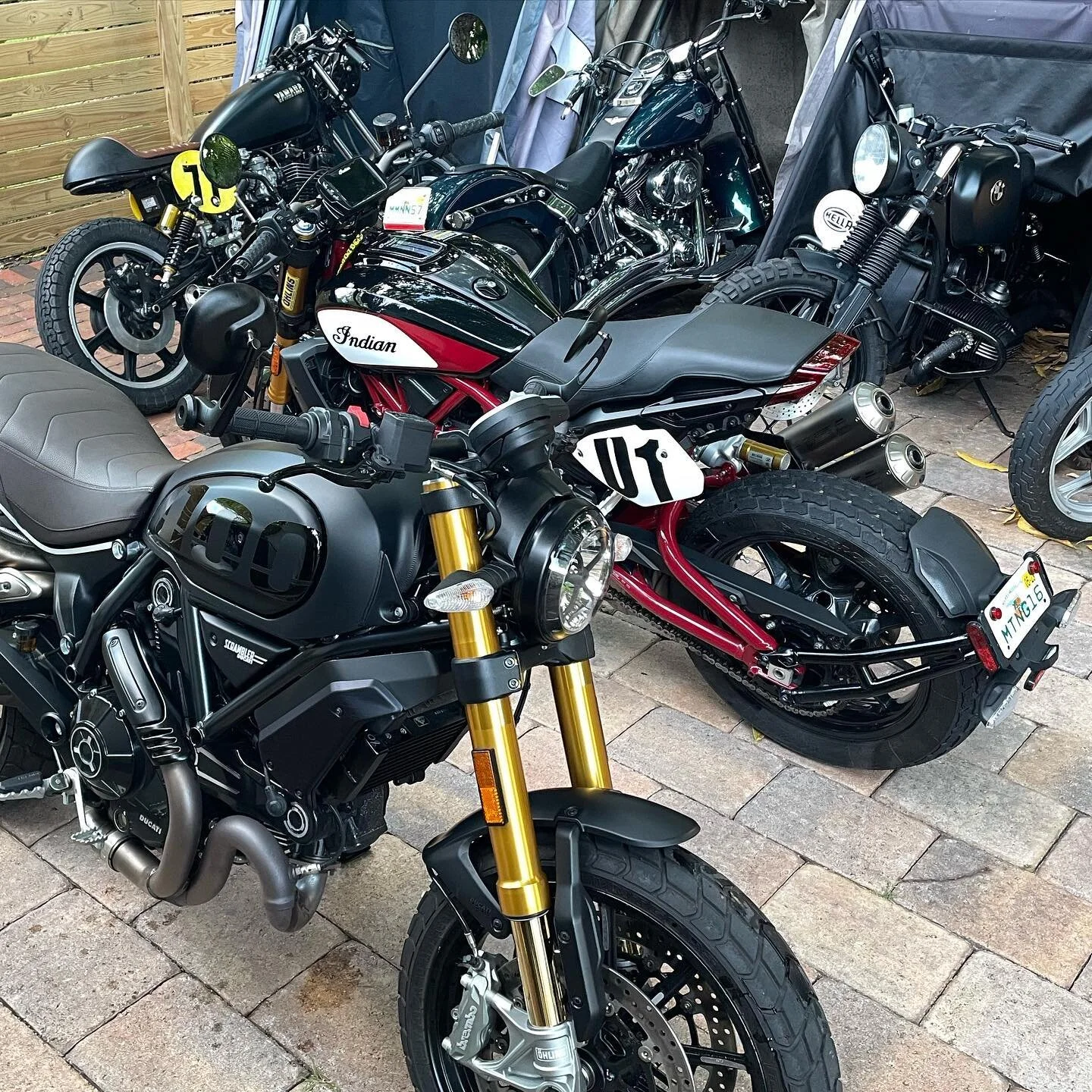 Wild horses #ugomi_miami #custommotorcycles