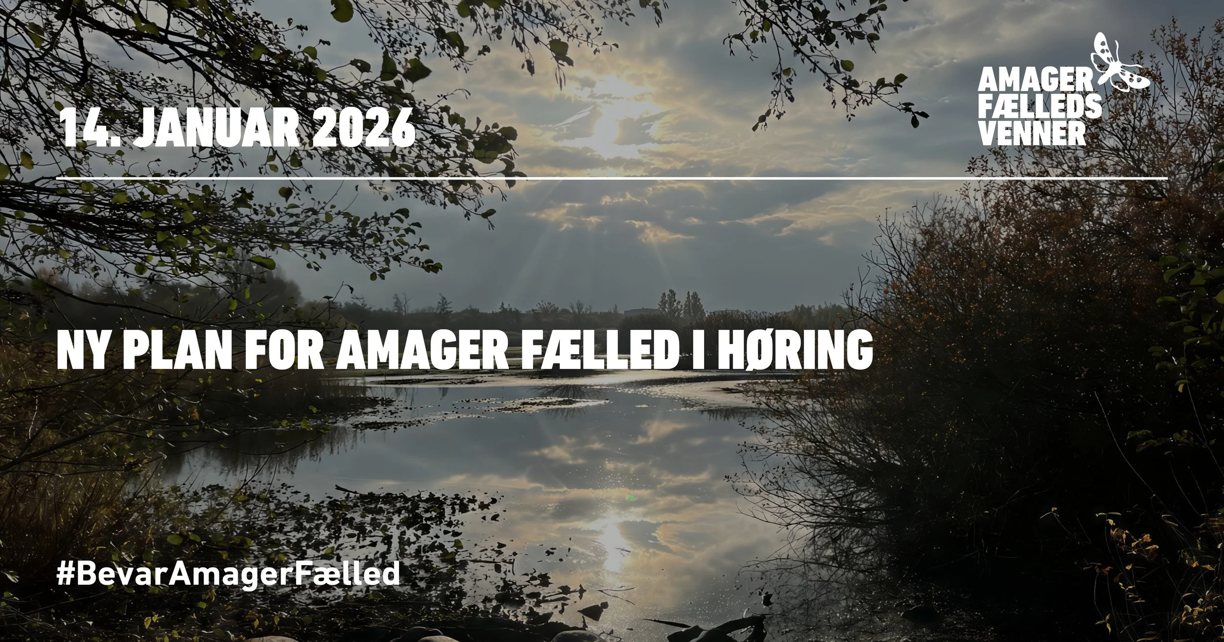 Ny plan for Amager Fælled i høring