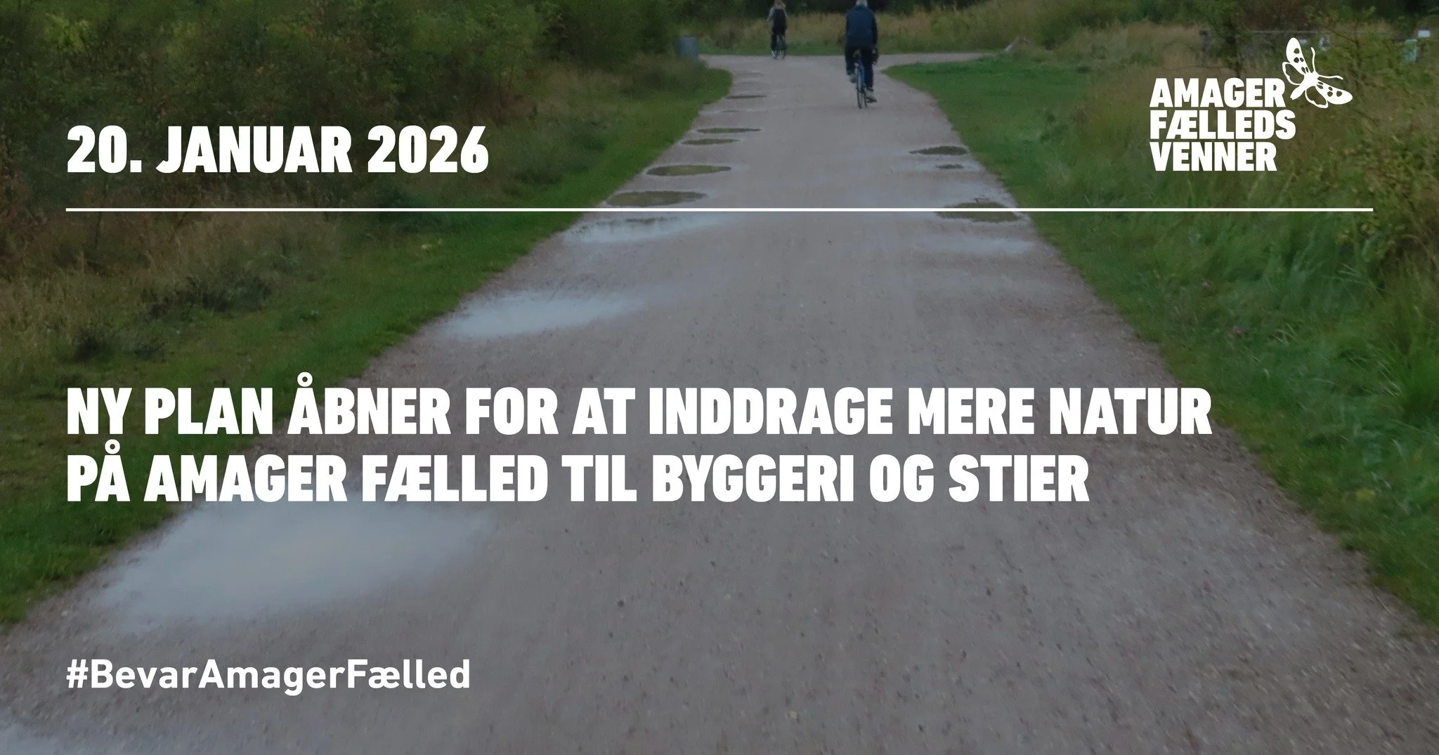 Ny plan åbner for at inddrage mere natur på Amager Fælled til byggeri og stier