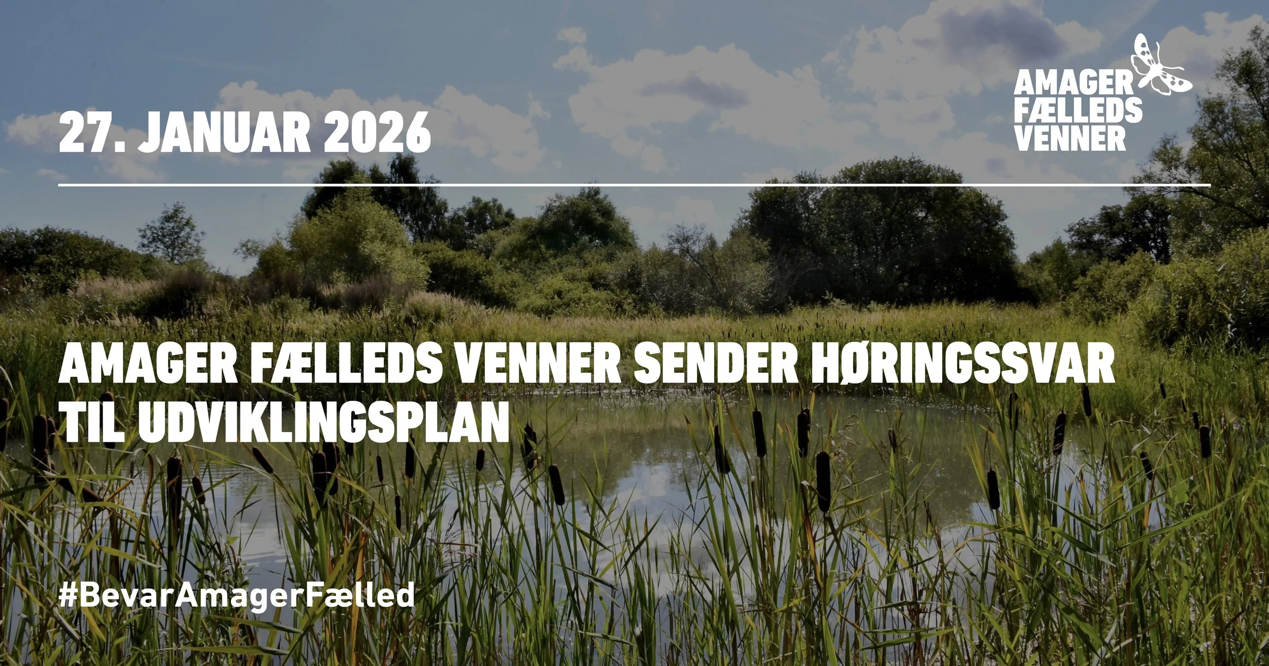 Amager Fælleds Venner sender høringssvar til udviklingsplan
