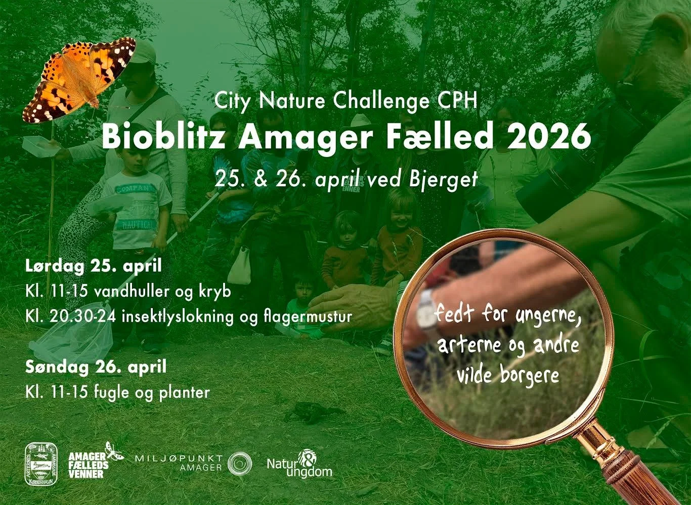 Amager Fælled Bioblitz - City Nature Challenge Cph