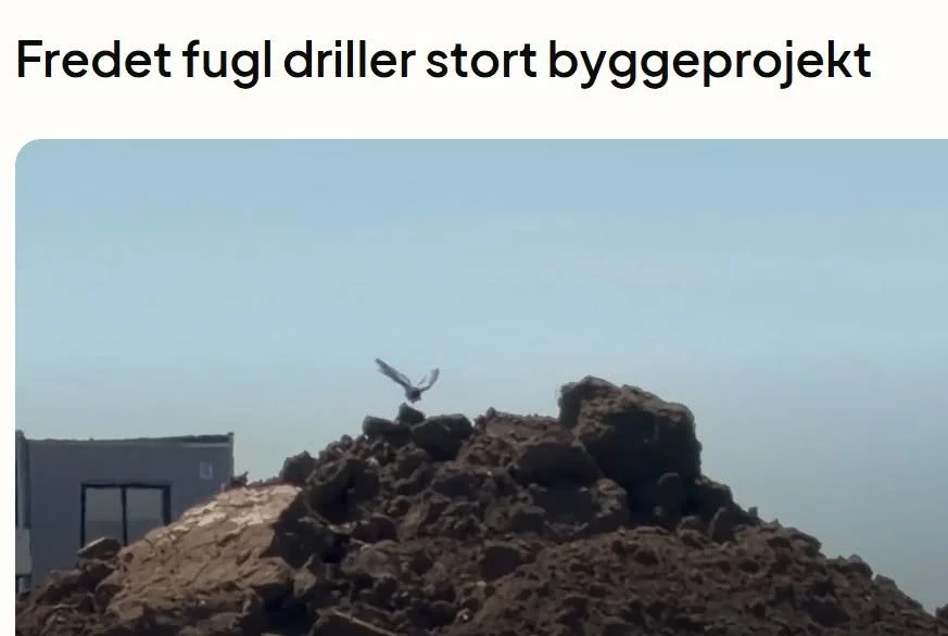 Amager Fælleds Venner har sendt et brev vedrørende de ynglende svaler til Fælledby, By&amp;Havn, samt Klima- Teknik- og Miljøudvalget