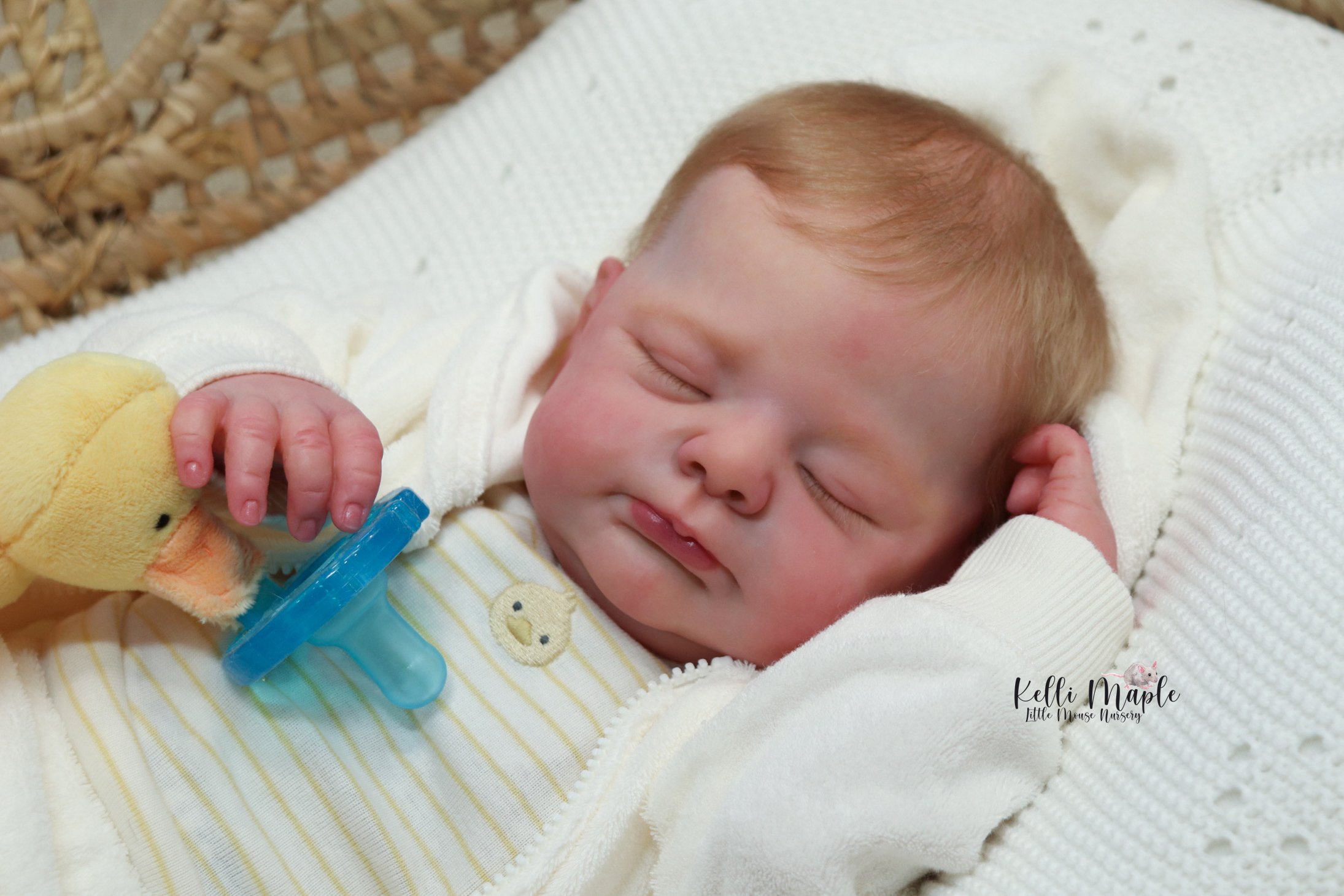 Otto by Joanna Kazmierczak