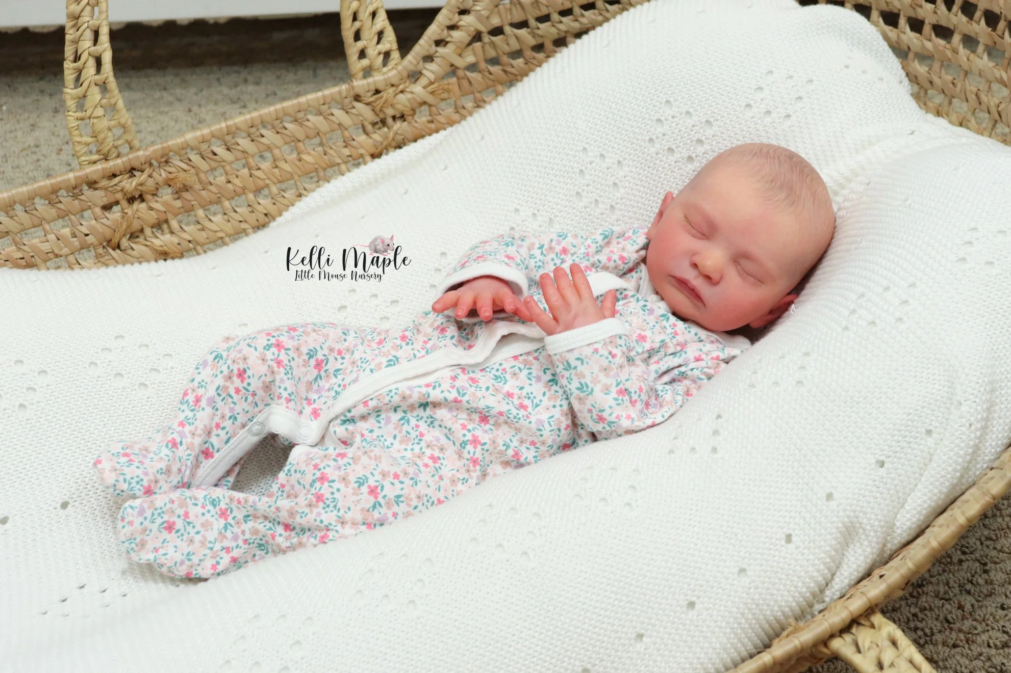 IMG_7979.jpeg