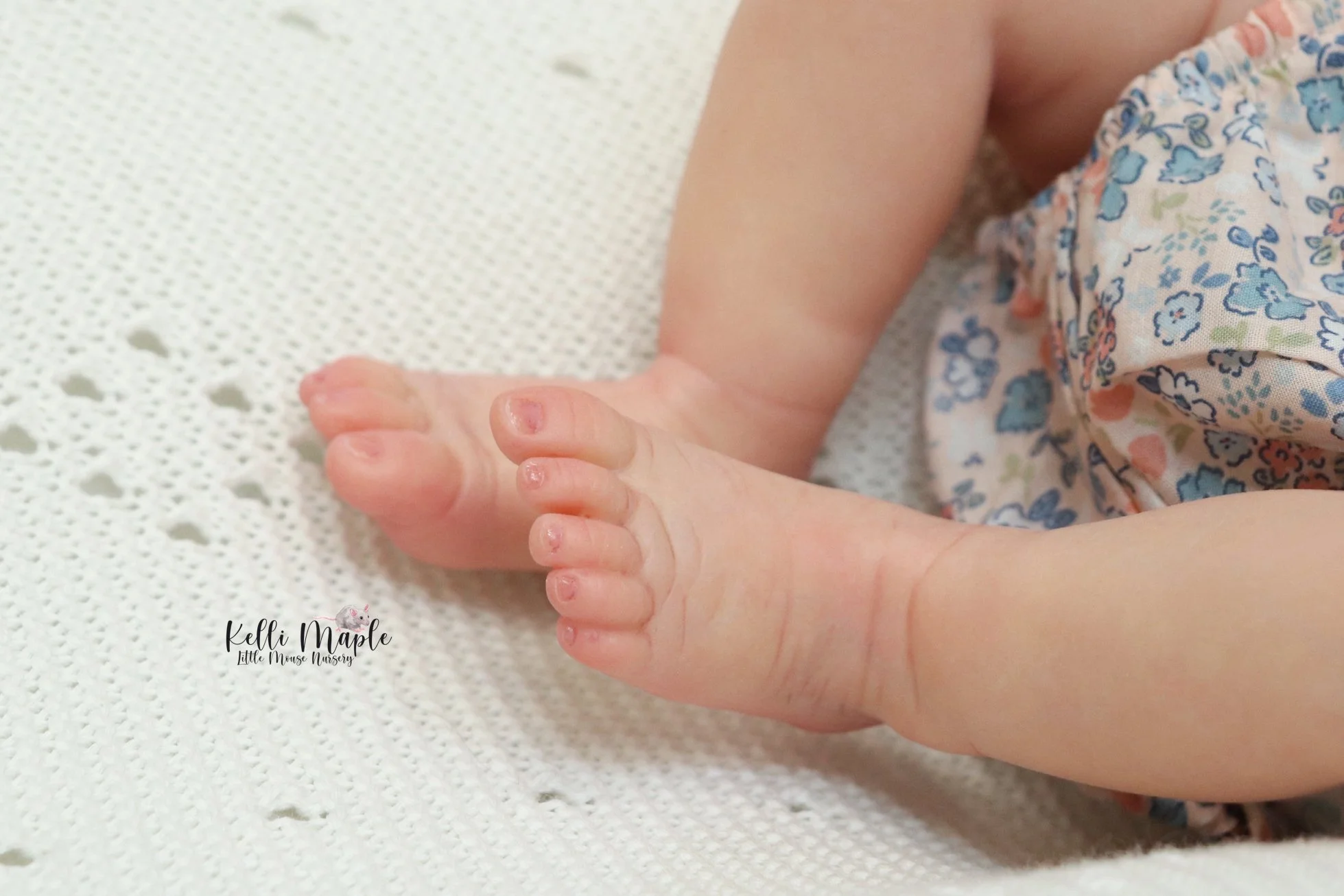 IMG_9005.jpeg