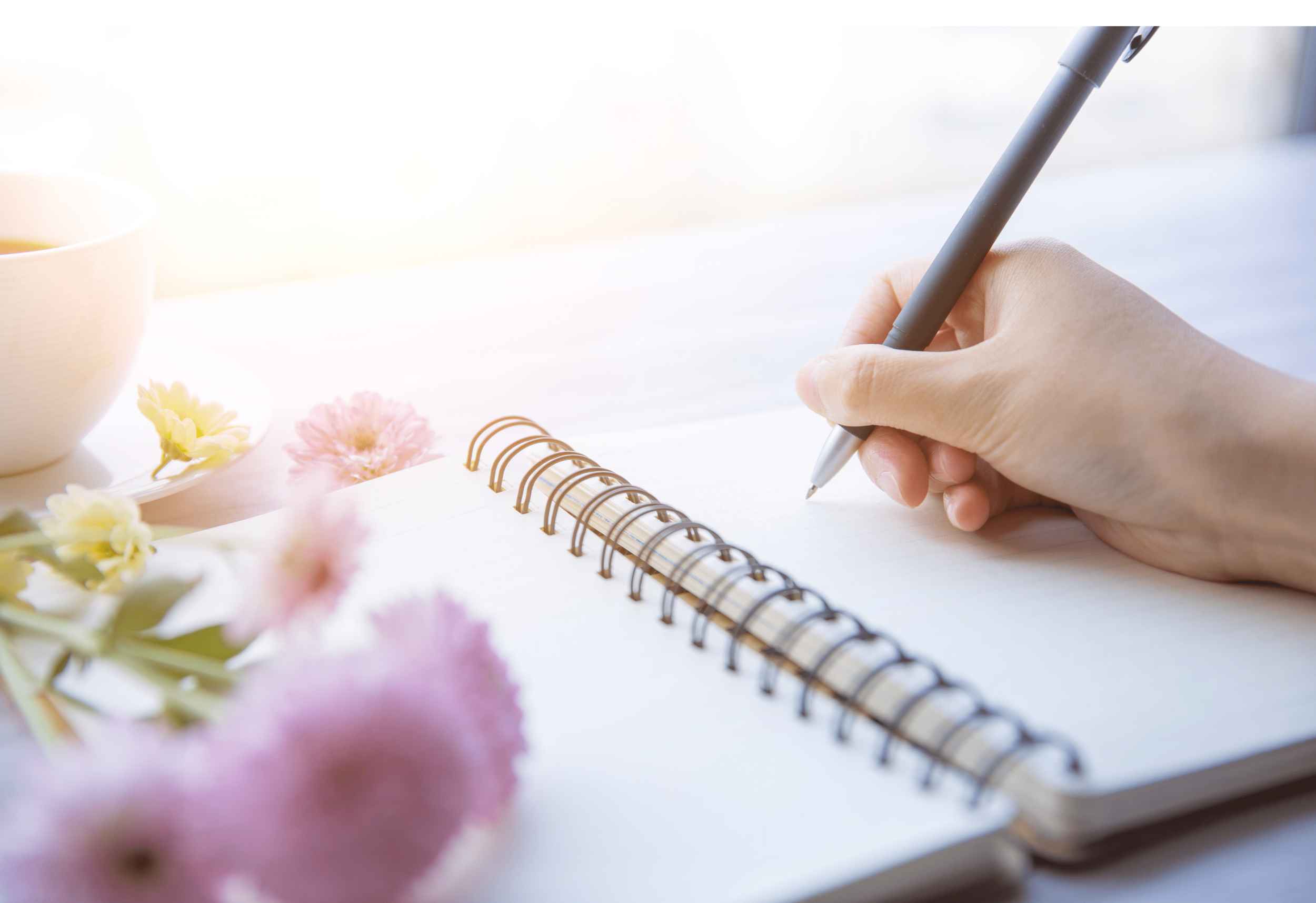 Lady Lucia Update (February Edition!)