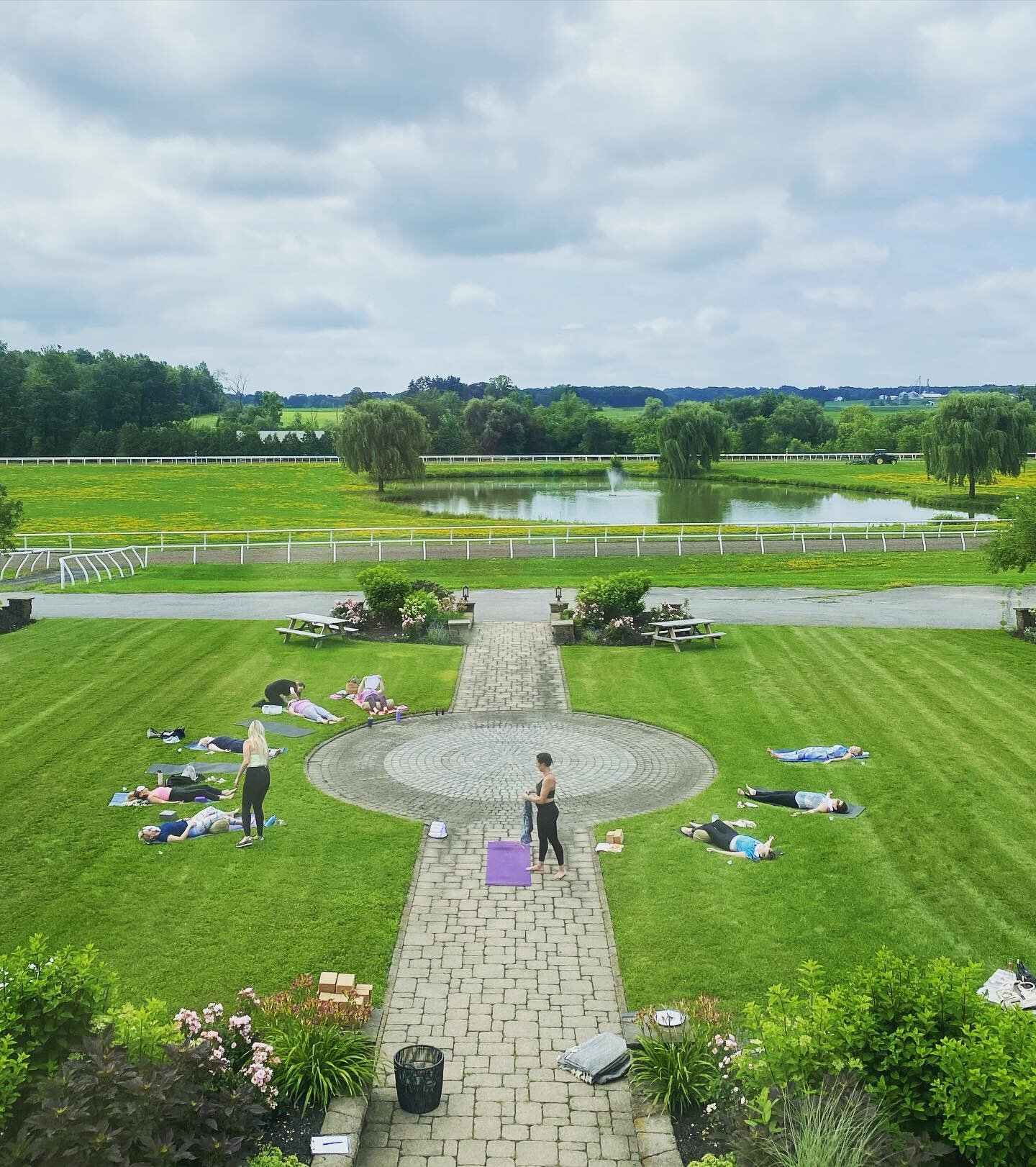 We had such a divine time out on our front lawn during yesterday&rsquo;s yoga + acupuncture event. Kicked off the day with a sunscreen stand, elderberry mocktails, yoga, acupuncture, aromatherapy all while hanging out with Party Like a Cat, our retir