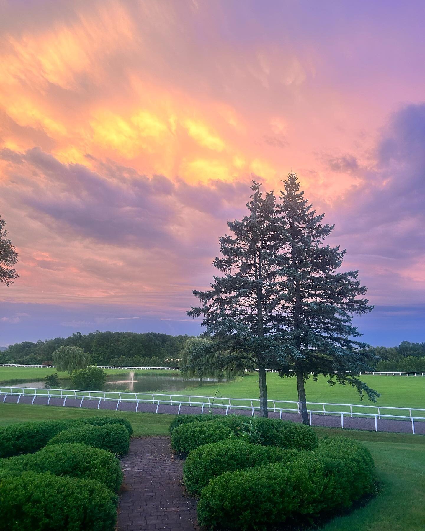 A view of our training track at Sacred and GMP Farm. Just a couple more days to grab your spot at our Off-Broadway play SMALL here at the farm on Tuesday, July 18th. The play is written and performed by a former jockey, Robert Montano and all proceed
