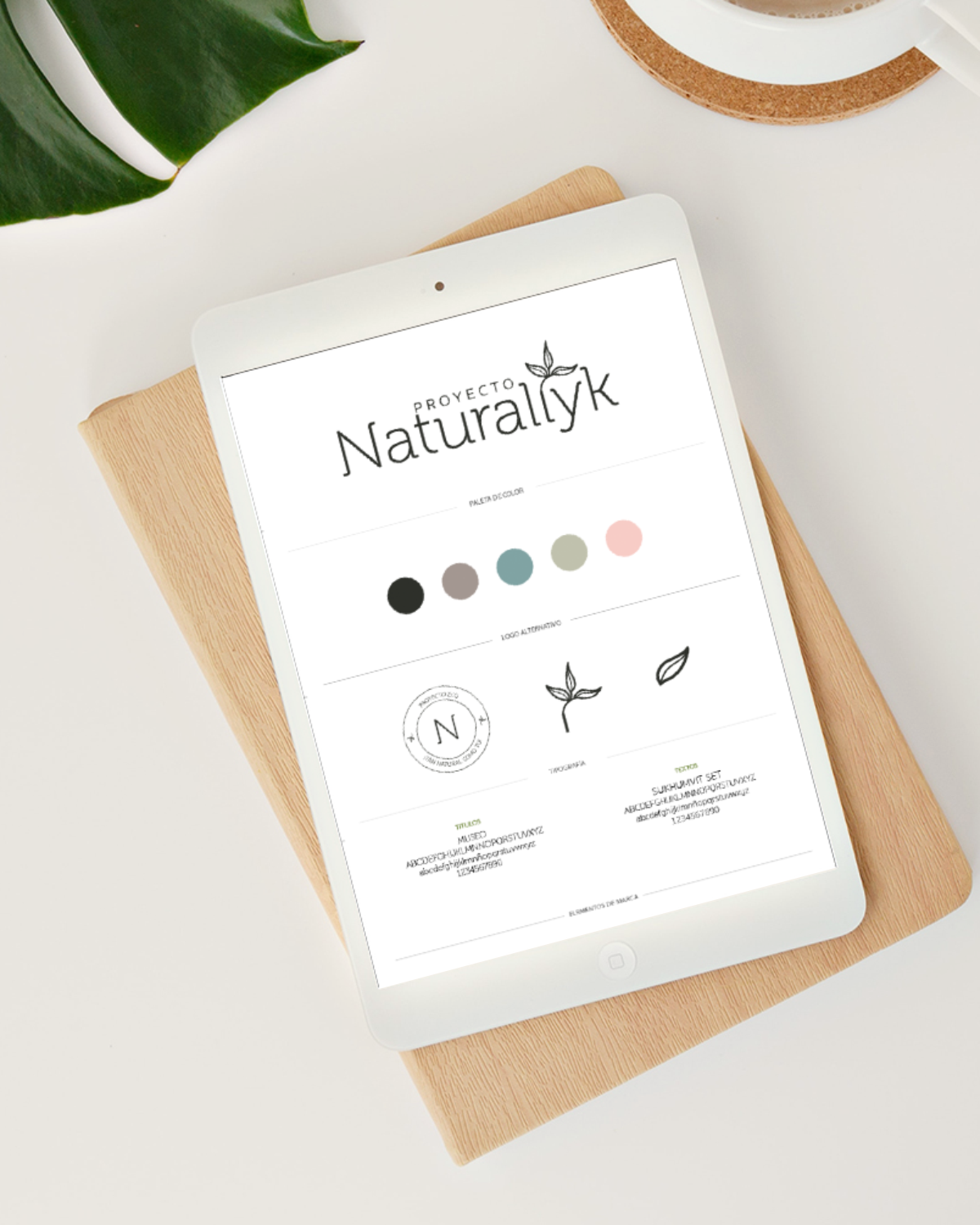 01 Branding Basic