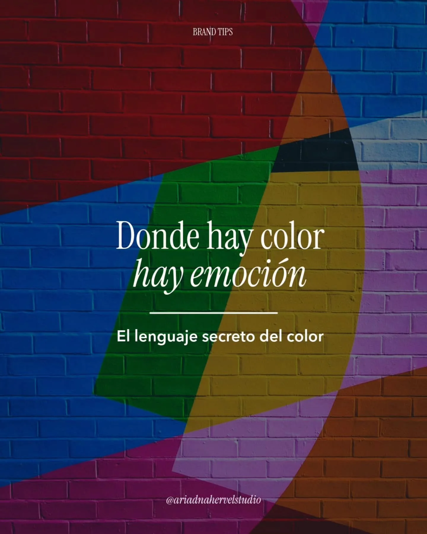 Donde hay color&hellip; hay emoci&oacute;n !

Seguro has escuchado hablar sobre la psicolog&iacute;a del color.

Y s&iacute;, en dise&ntilde;o y branding elegir los colores de tu marca va mucho m&aacute;s all&aacute; de &ldquo;qu&eacute; color te gus