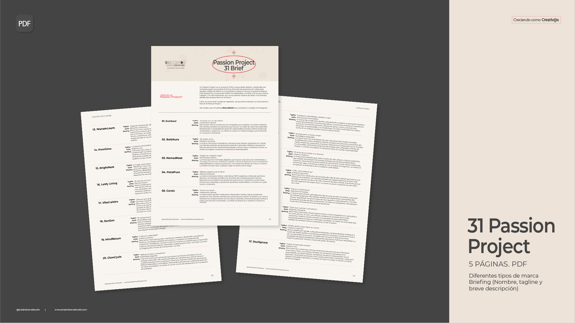 Passion Project_ariadnahervel studio-2.png