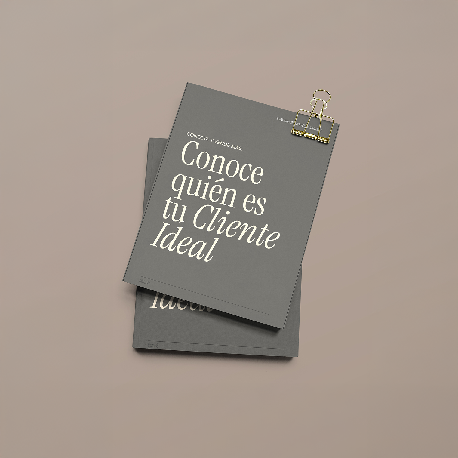 post Conoce a tu Cliente ideal copy.png
