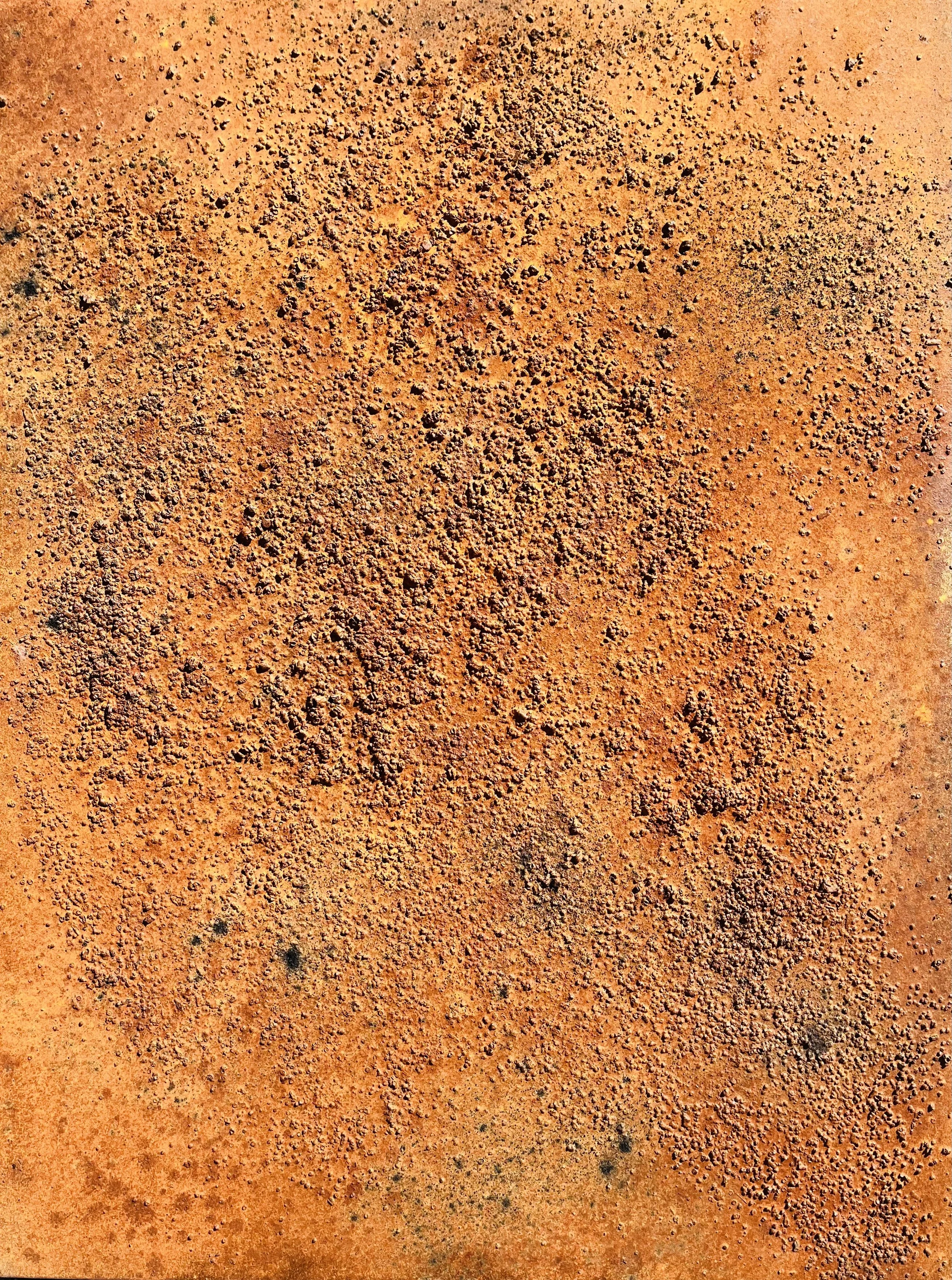 Canvas/iron paint/metal shavings/coffee/rock salt: 30" x 40"