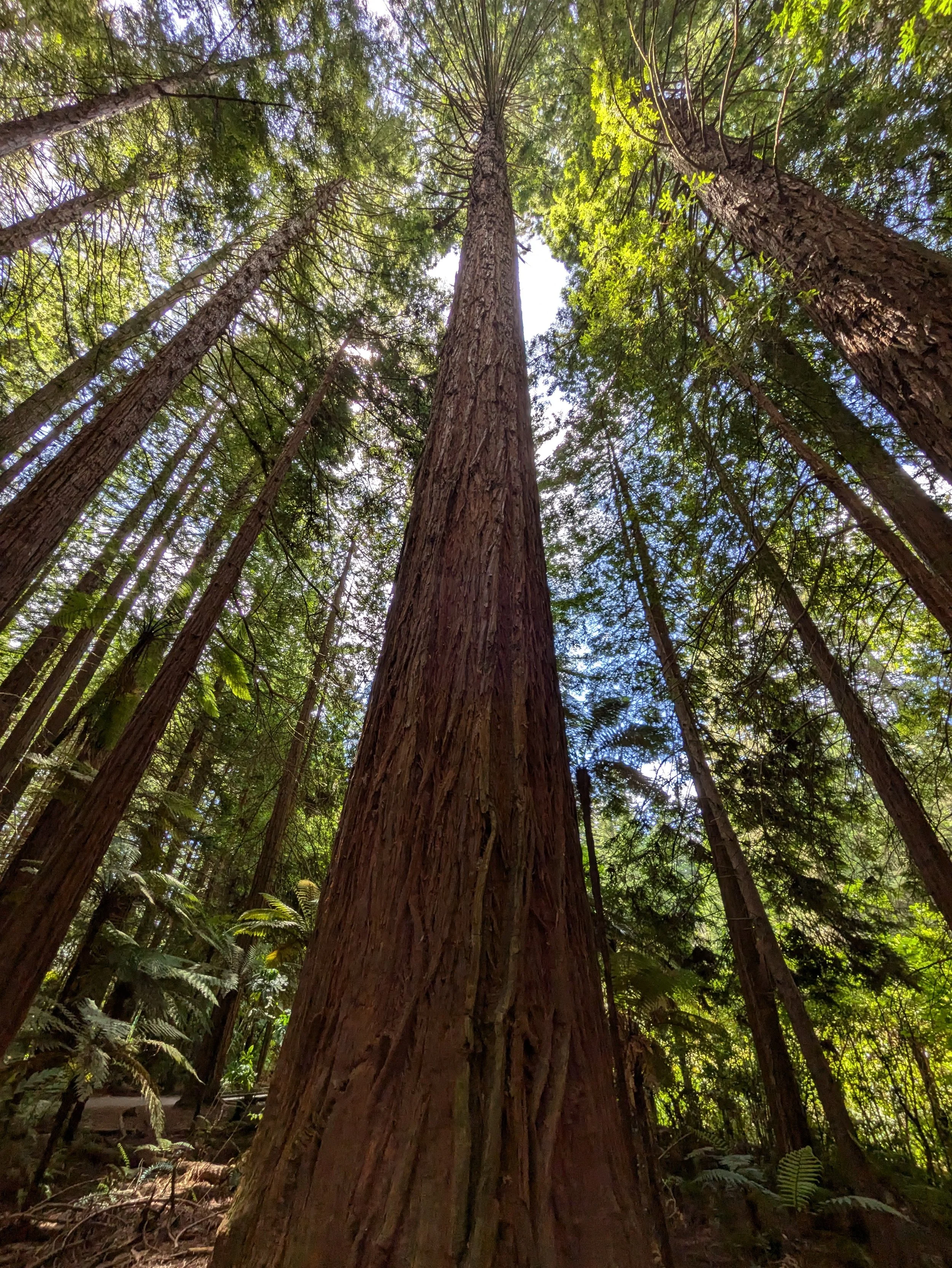 PXL_20241028_002545276.jpg