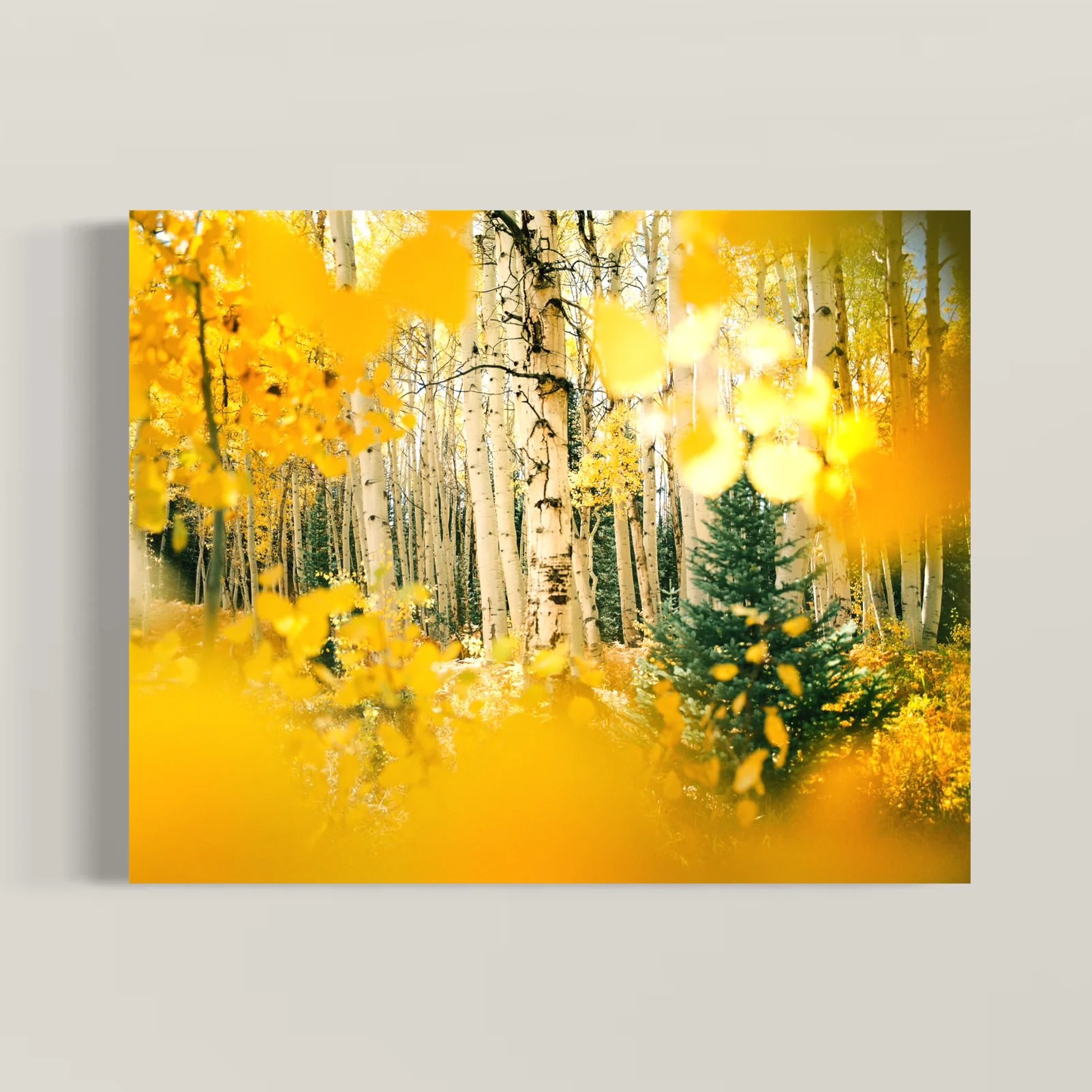 Golden Aspen Confetti.jpeg