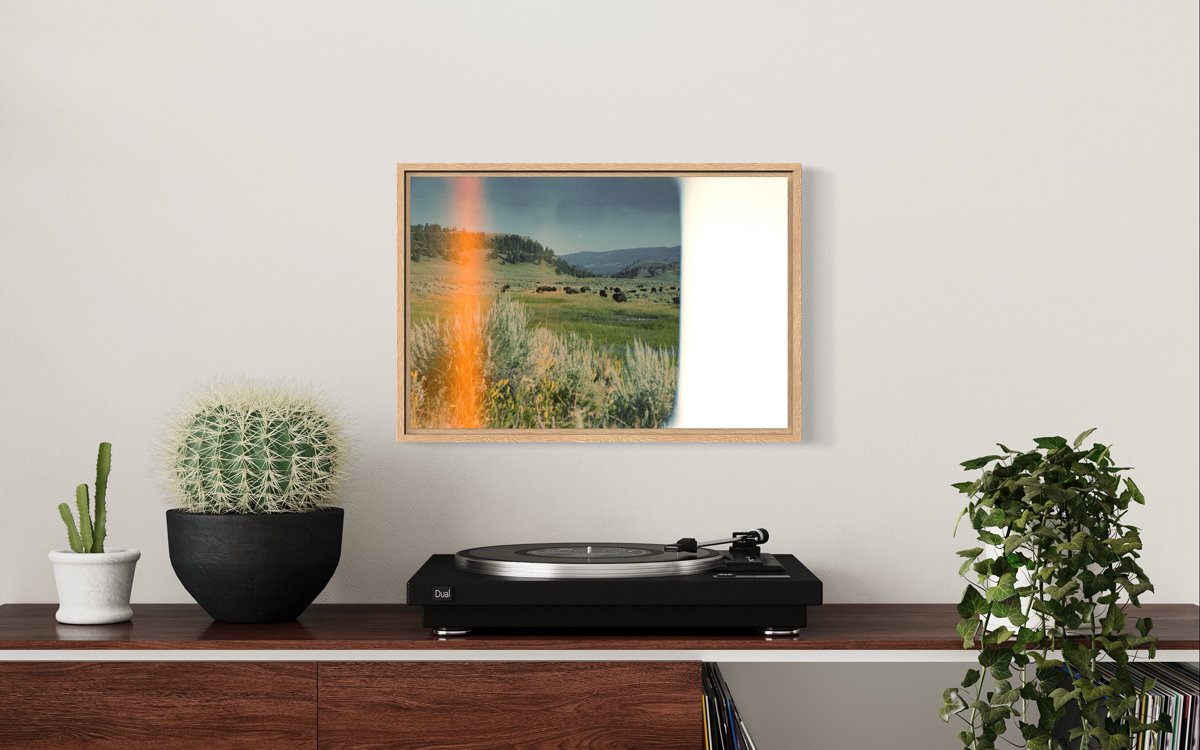 meander_12x18_print_bison_beats_framed.jpg