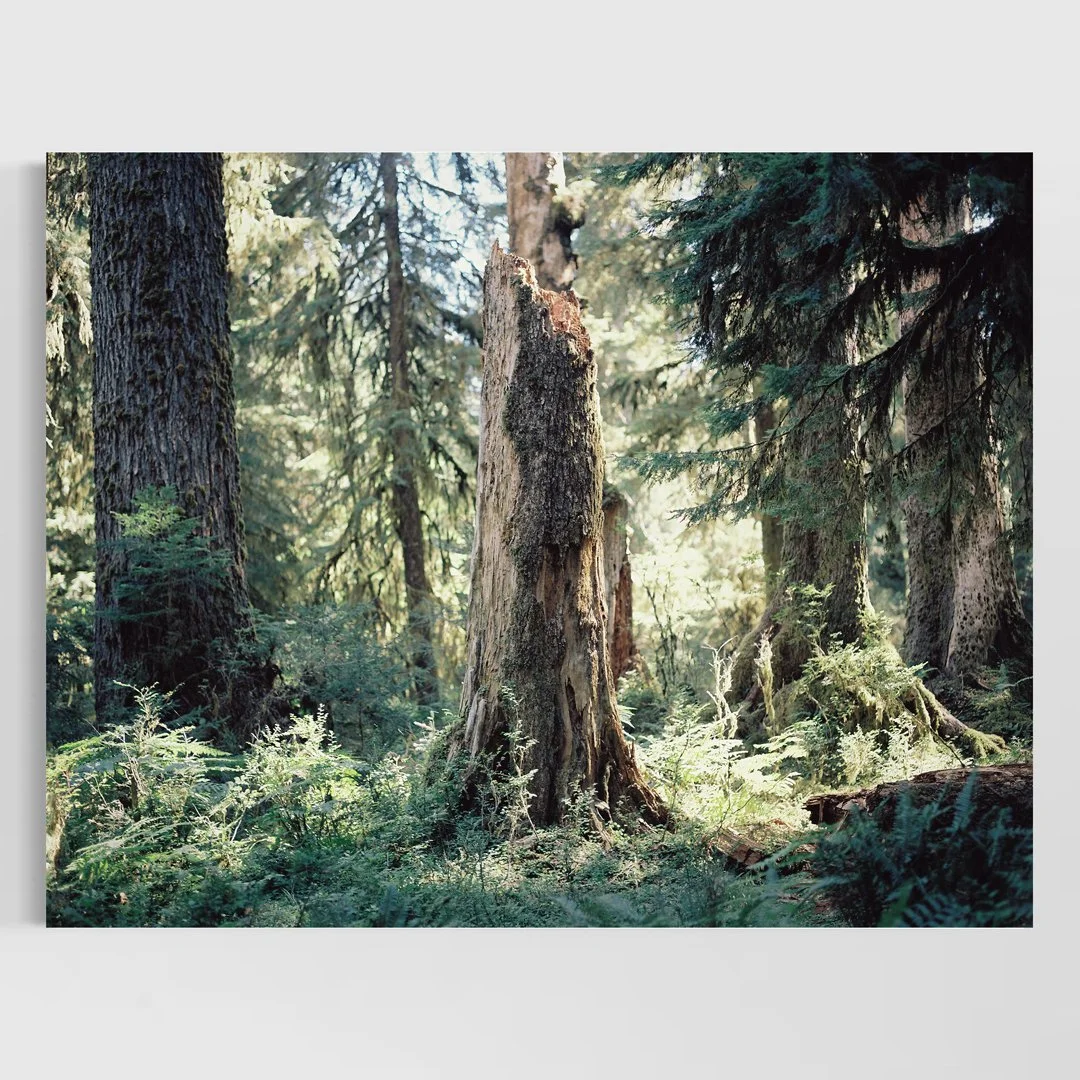 Forest Altar
