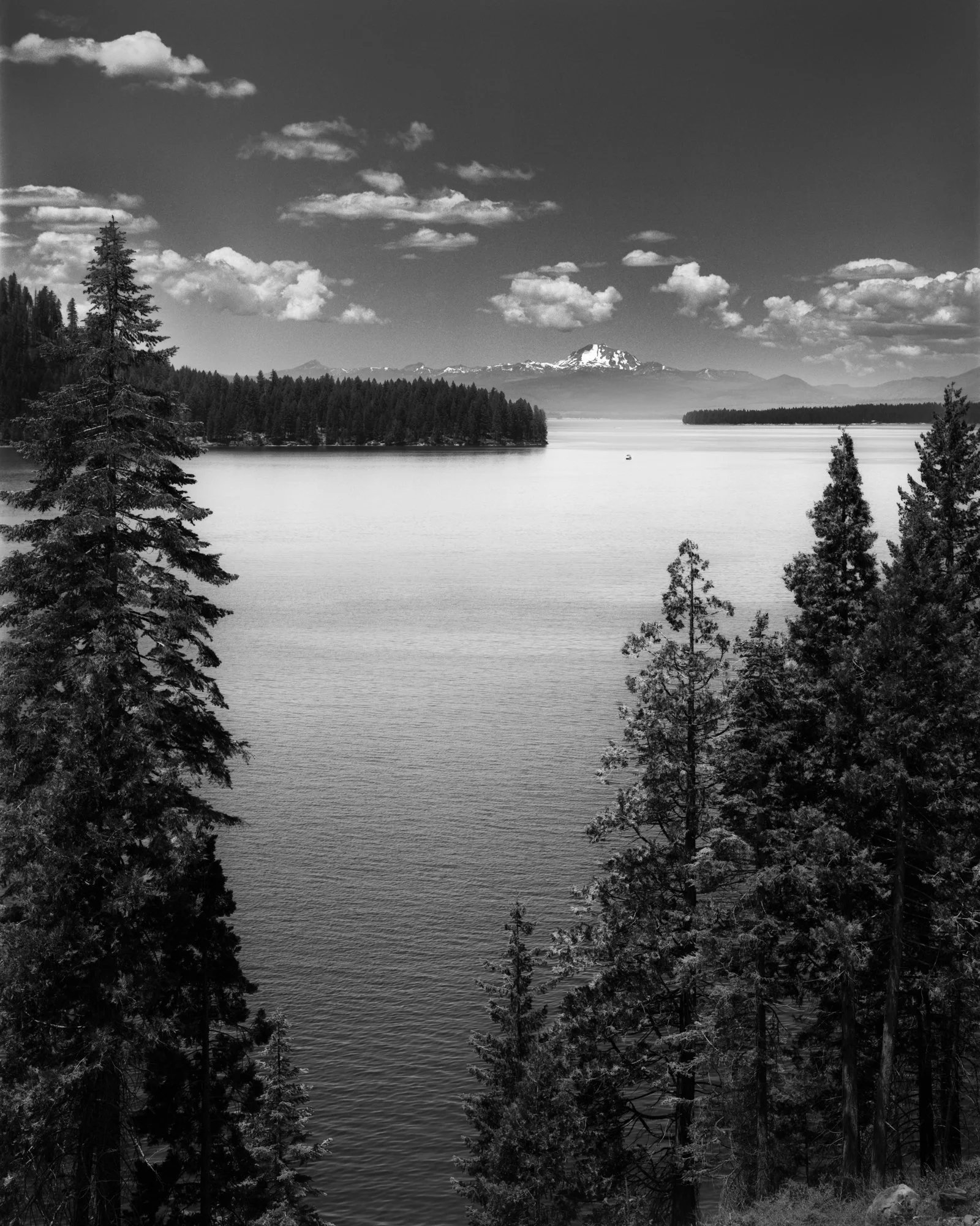 195-8-Edit.jpg