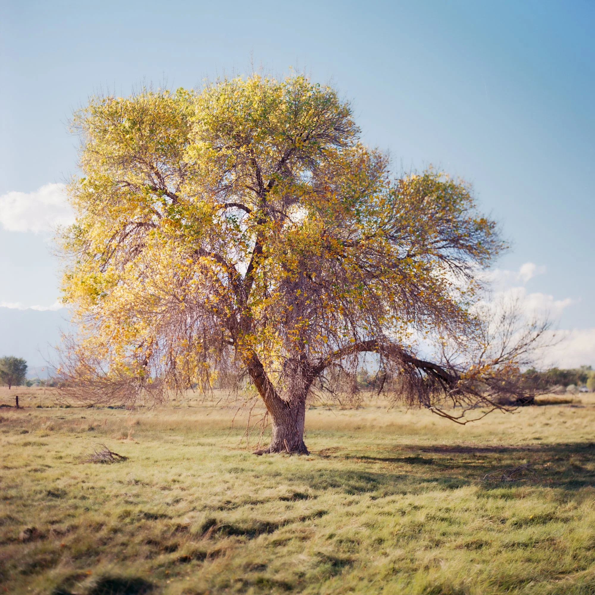 207C_11-Edit.jpg