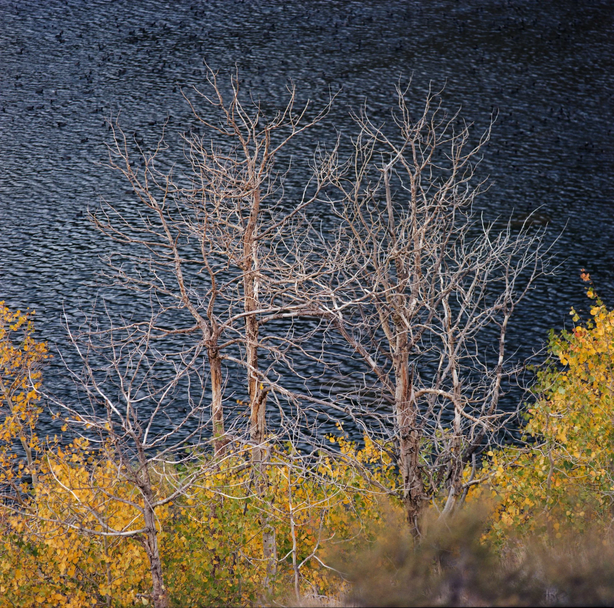 207A_9-Edit.jpg