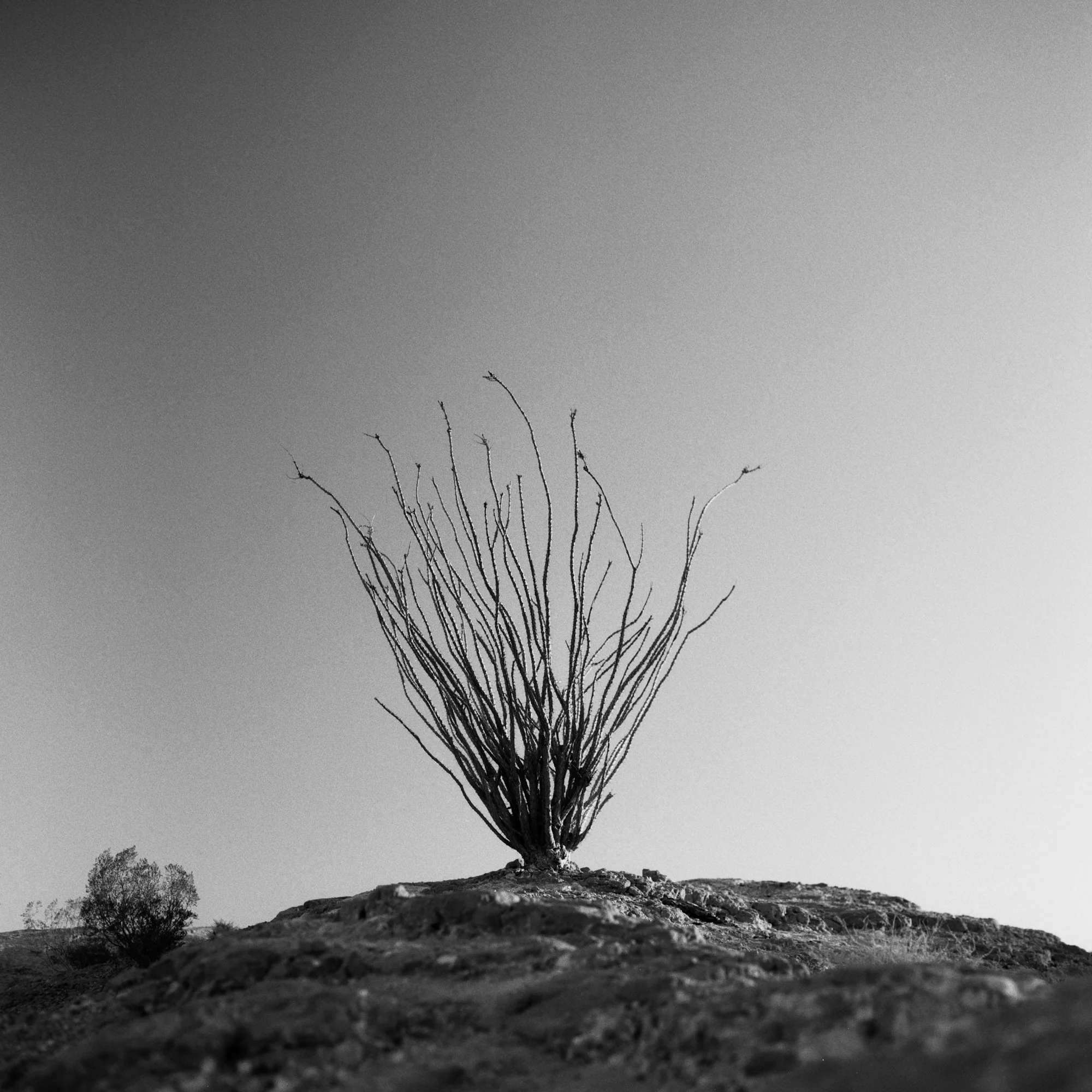 182A_3-Edit.jpg