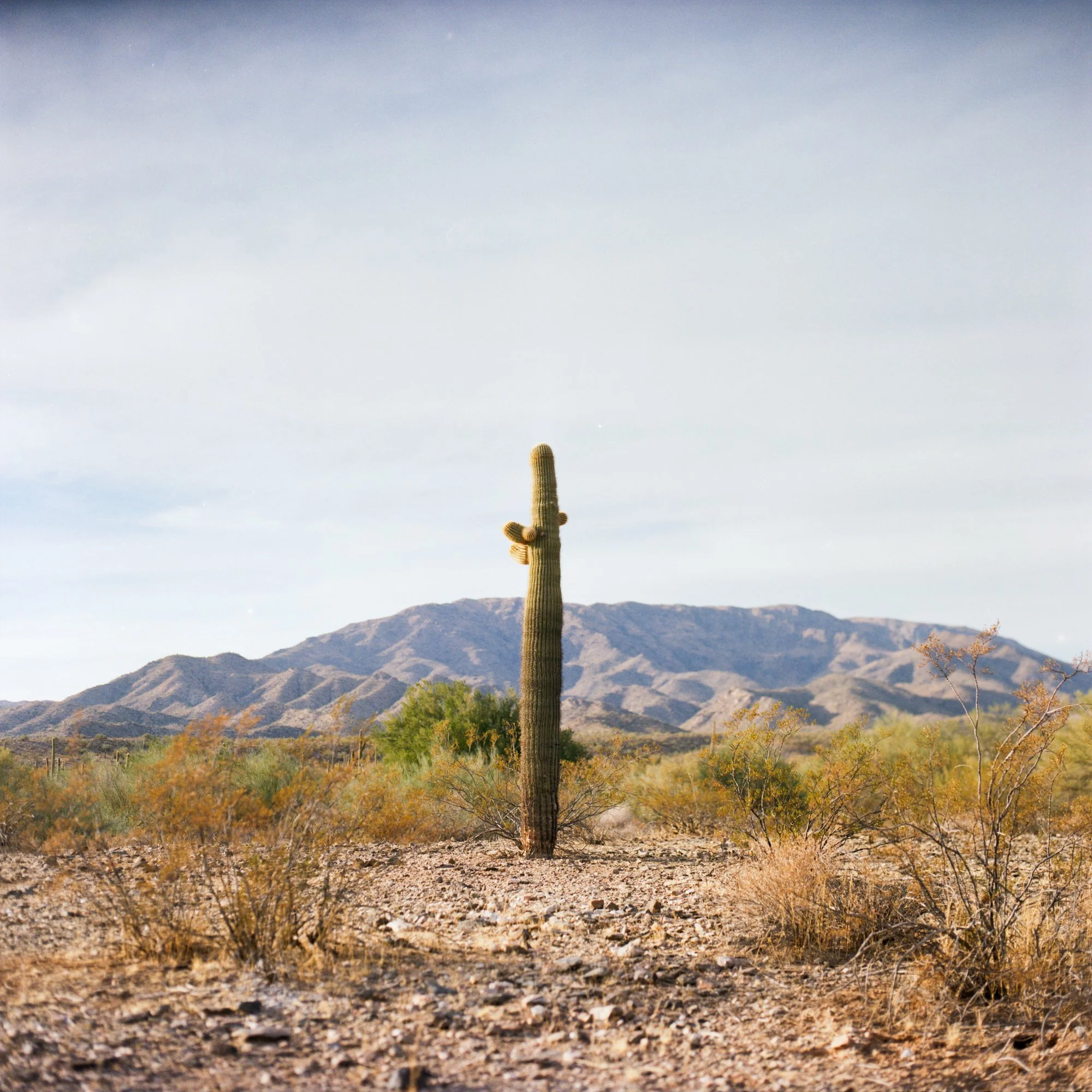 207E_4-Edit.jpg