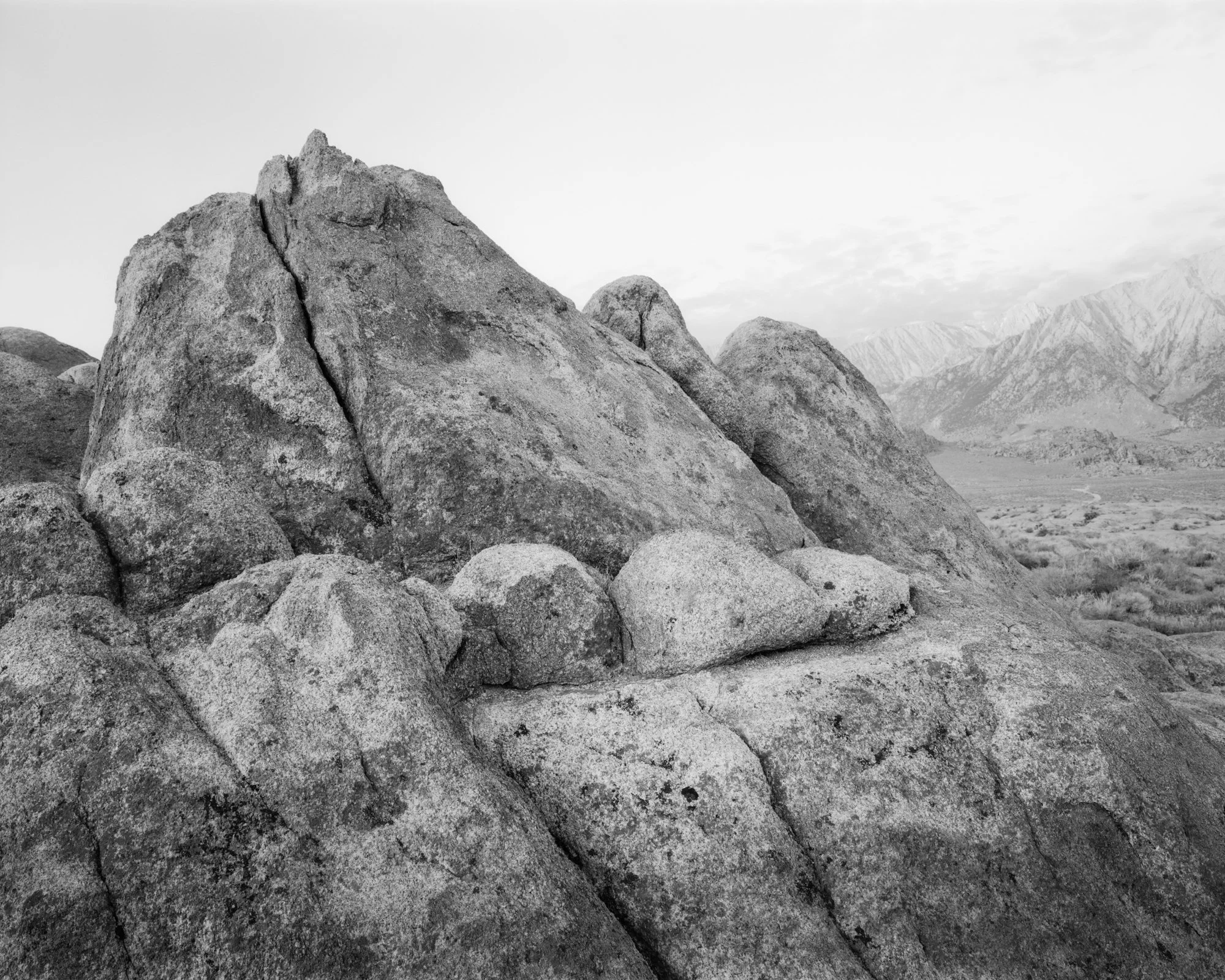 233_8-Edit.jpg
