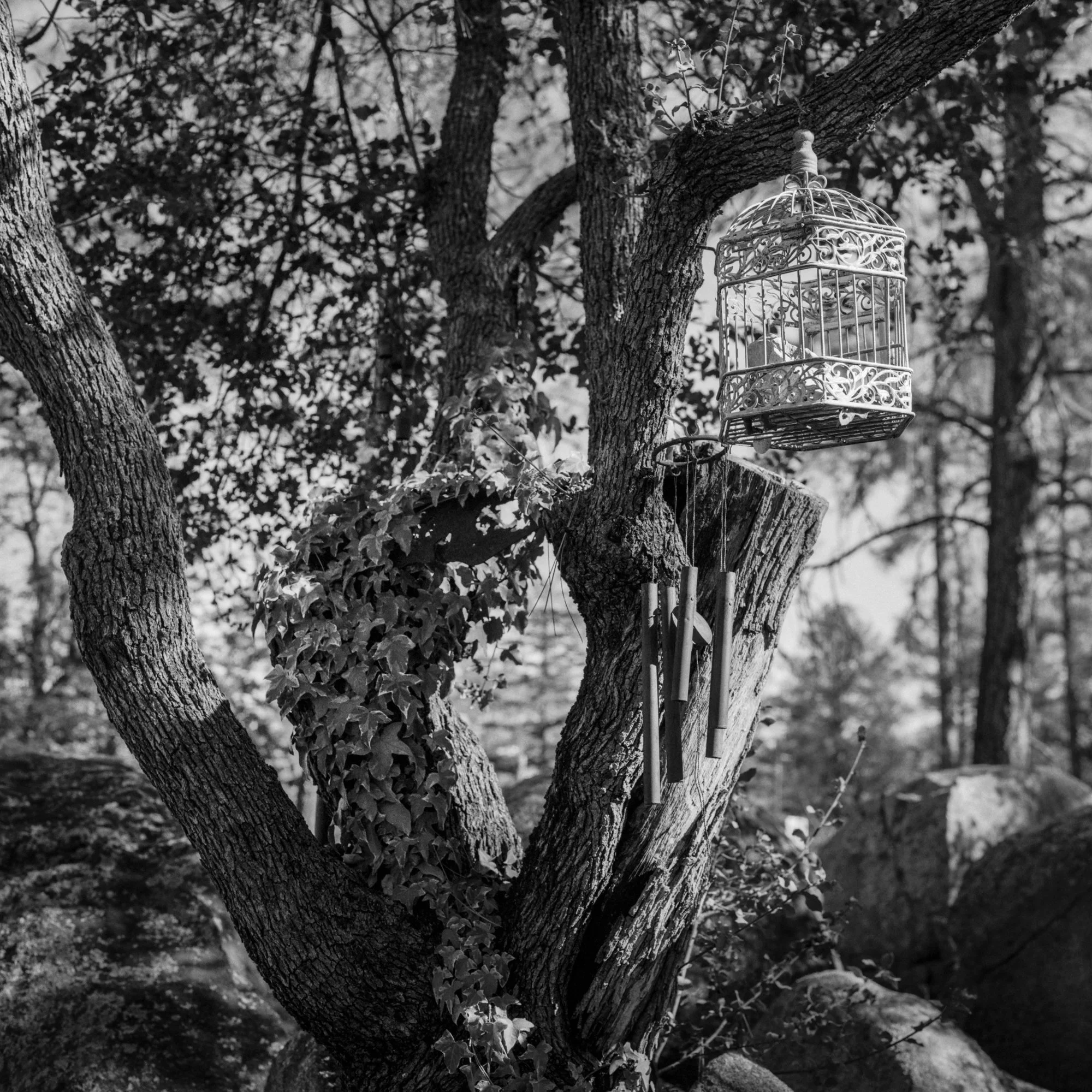 182D_10-Edit.jpg