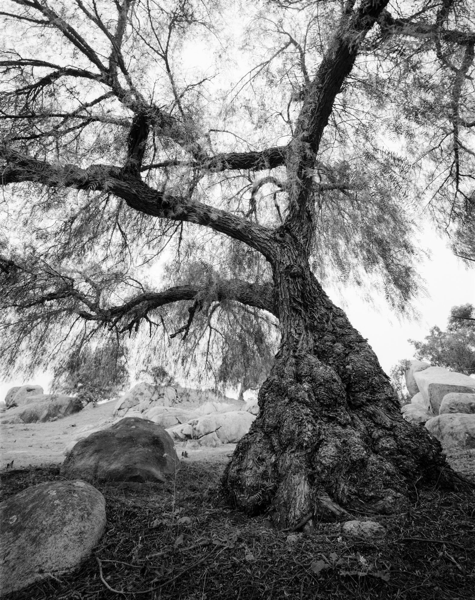 197-3-Edit.jpg