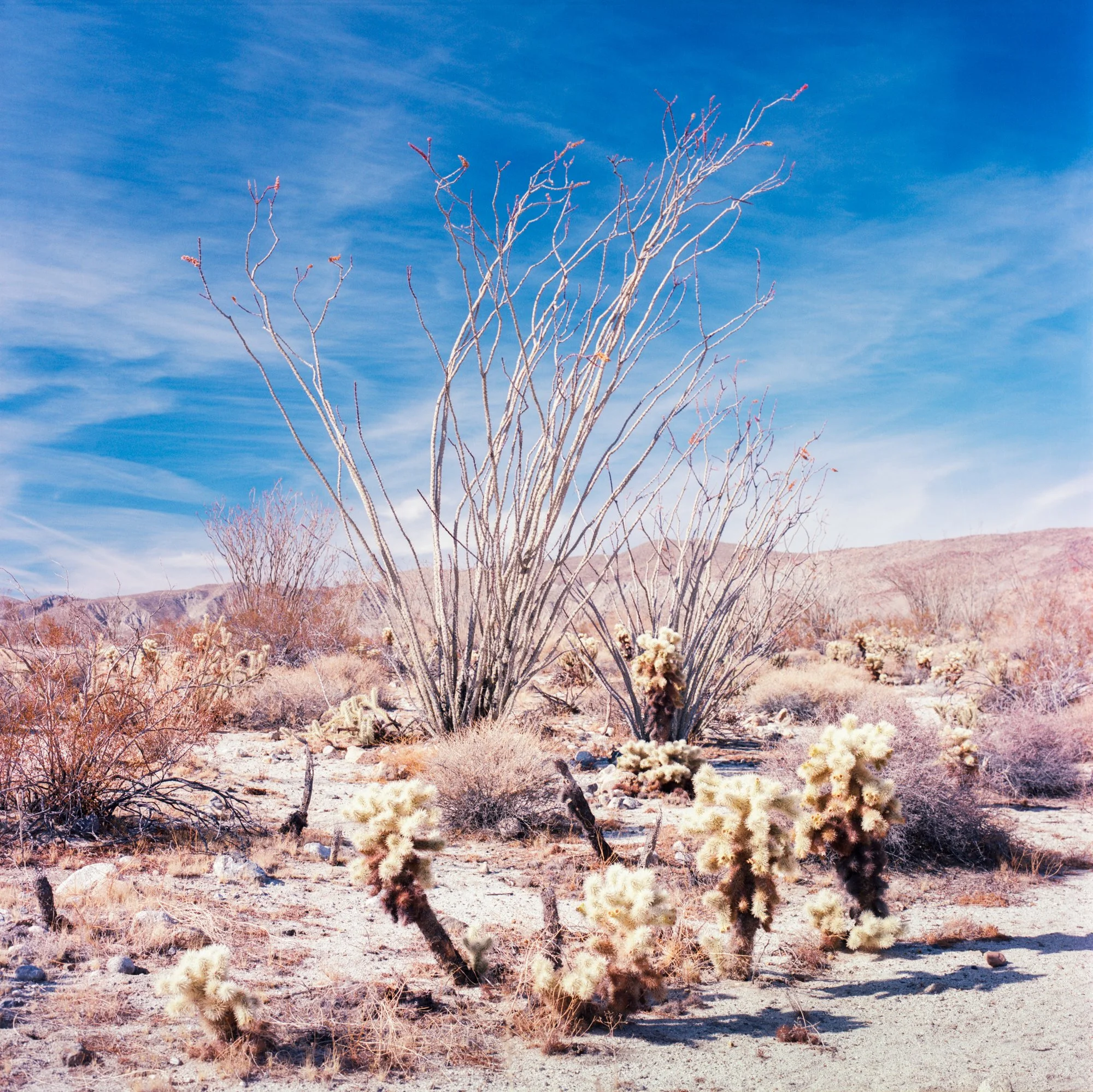 218A_10-Edit.jpg