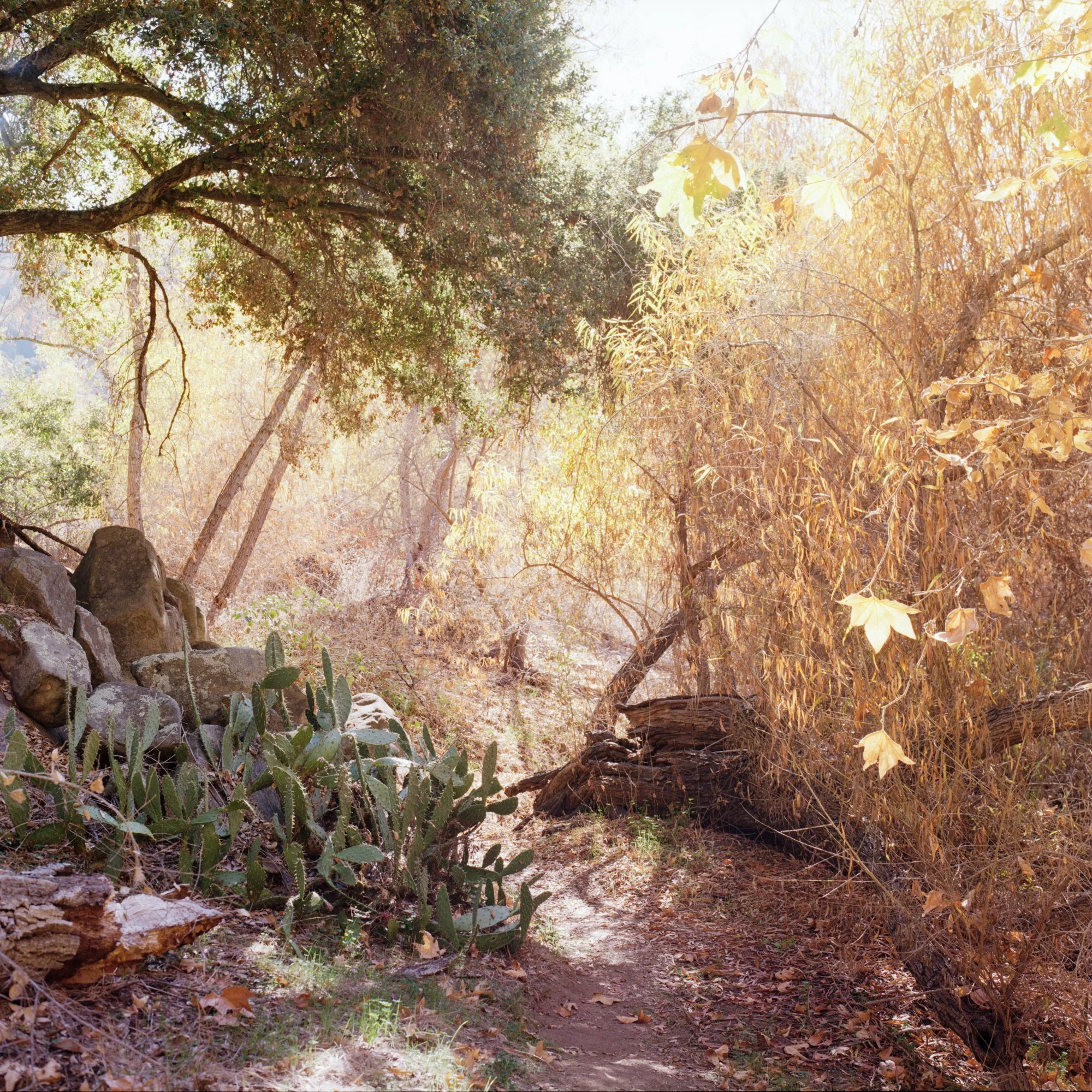 207E_1-Edit.jpg