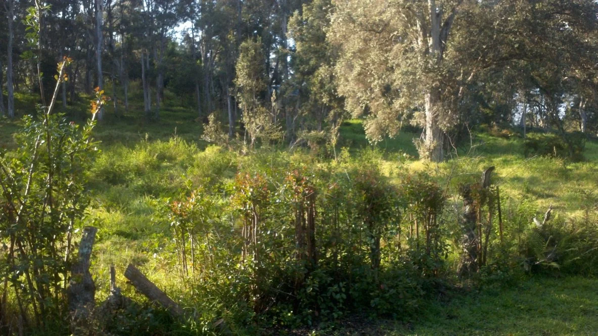 Think Big, Live Tiny - Part 10