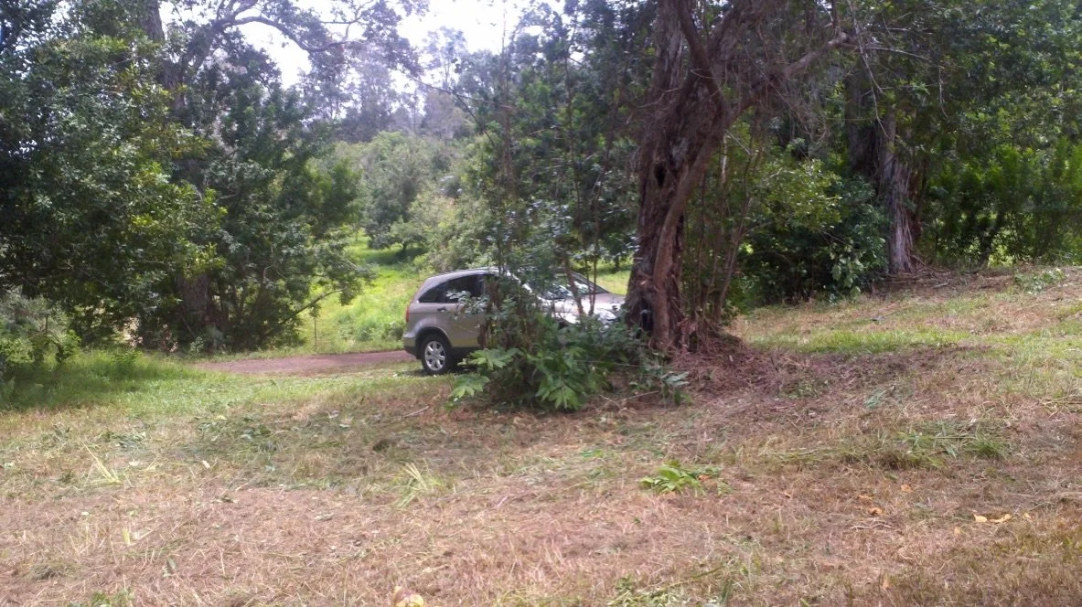 Think Big, Live Tiny - Part 12