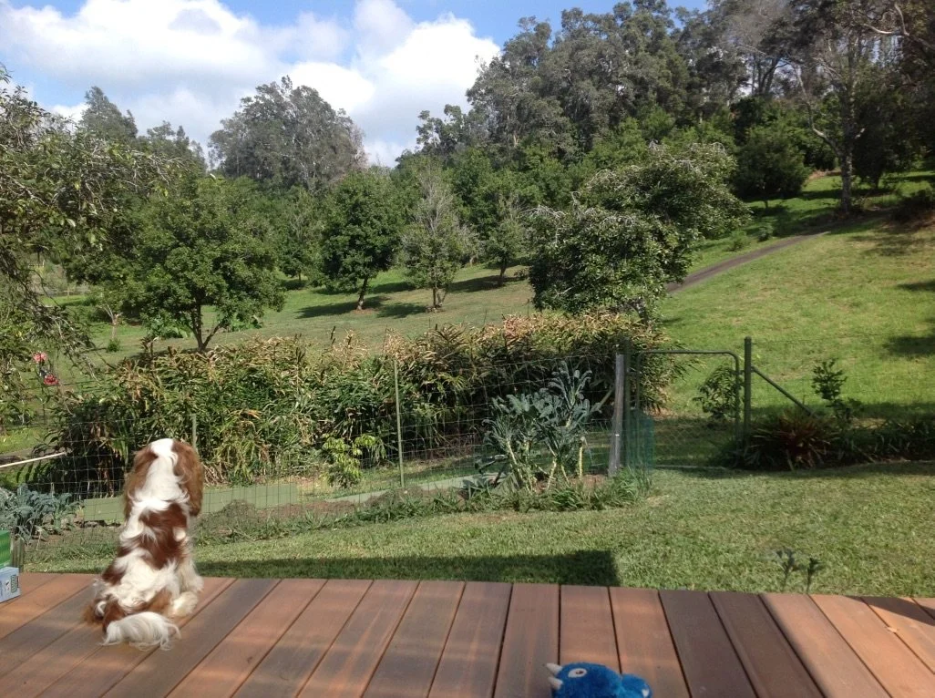 Think Big, Live Tiny – Part 13