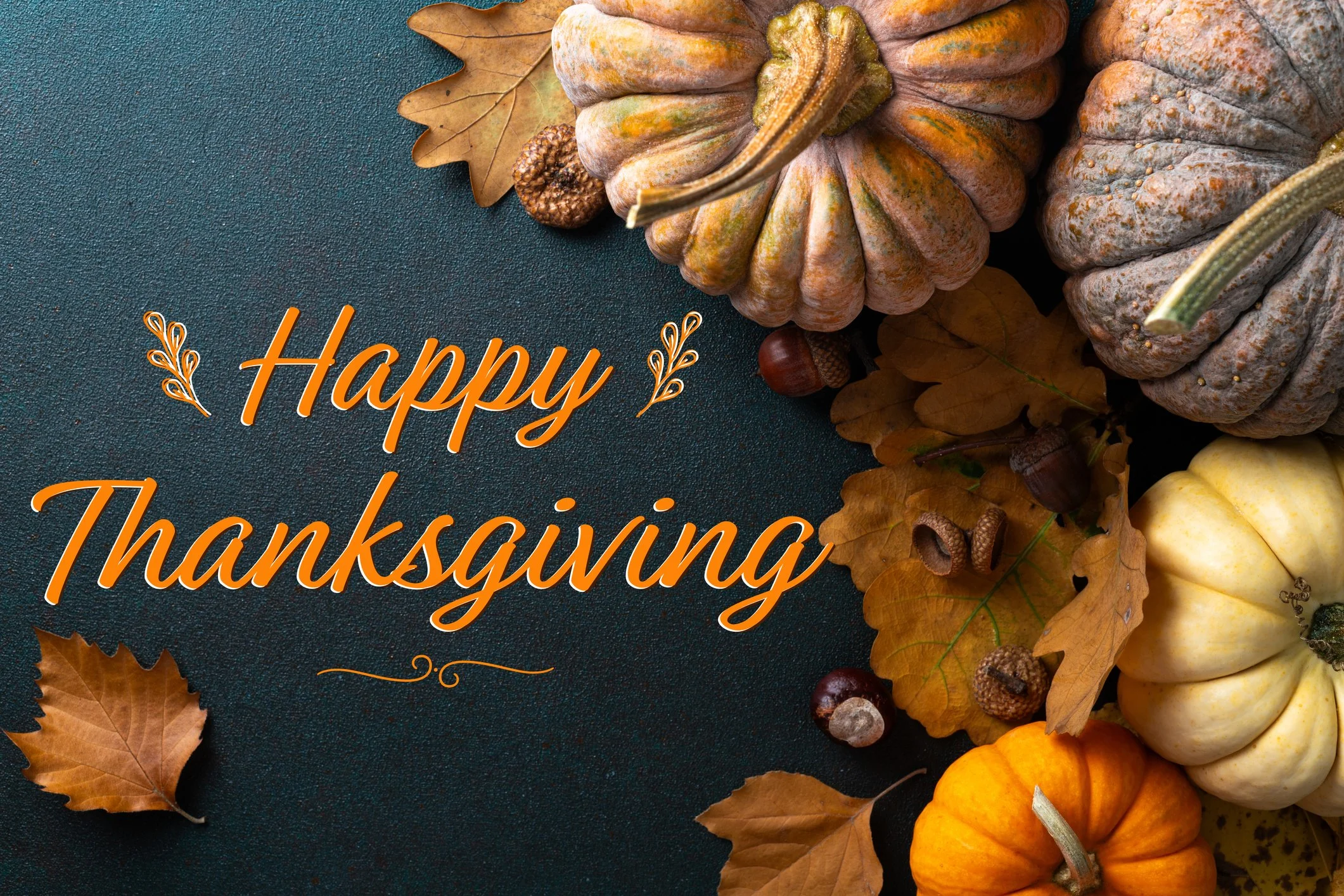 The Courage Behind Gratitude: A Thanksgiving Reflection 