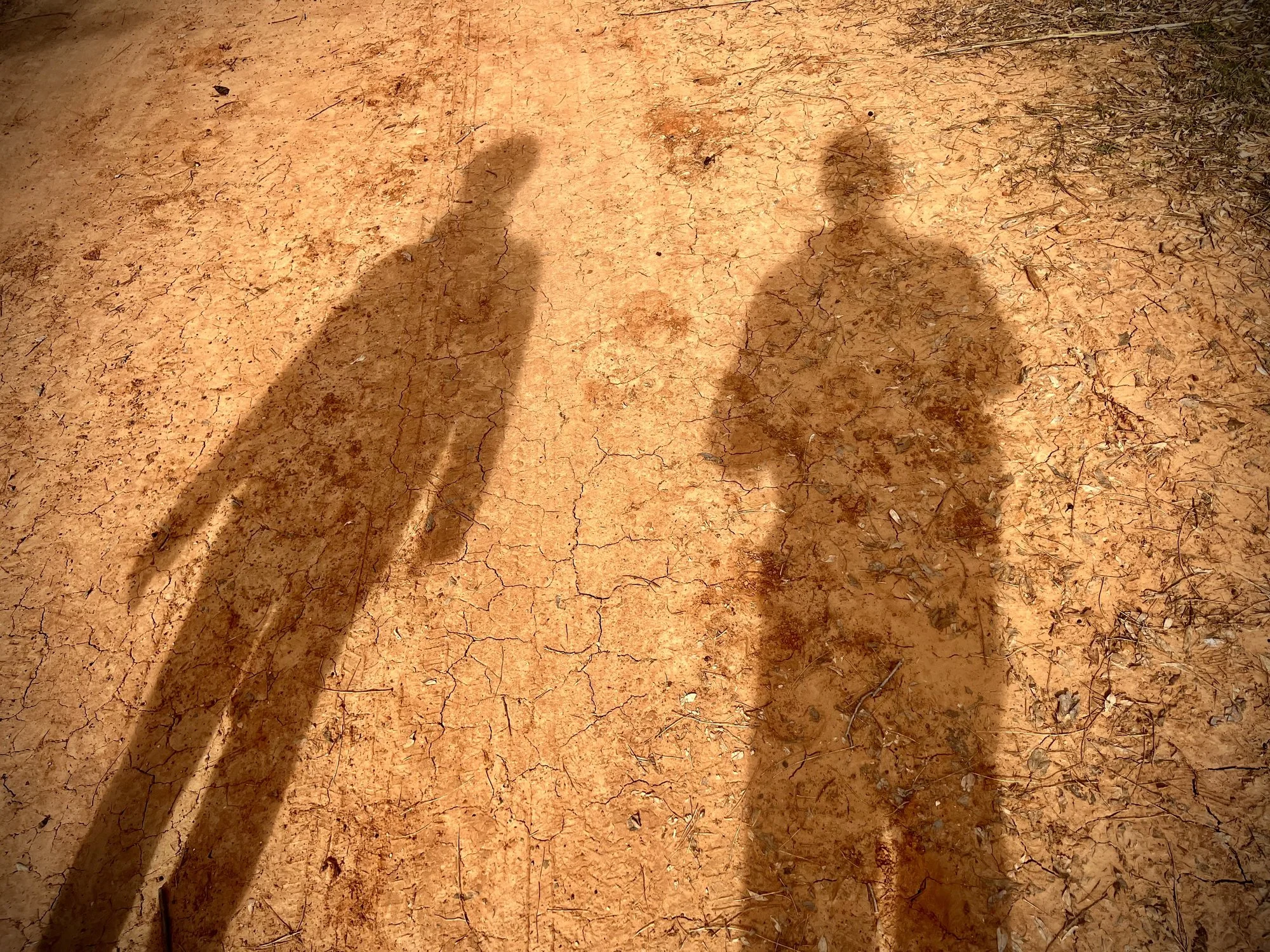 The Discipline of  Presence