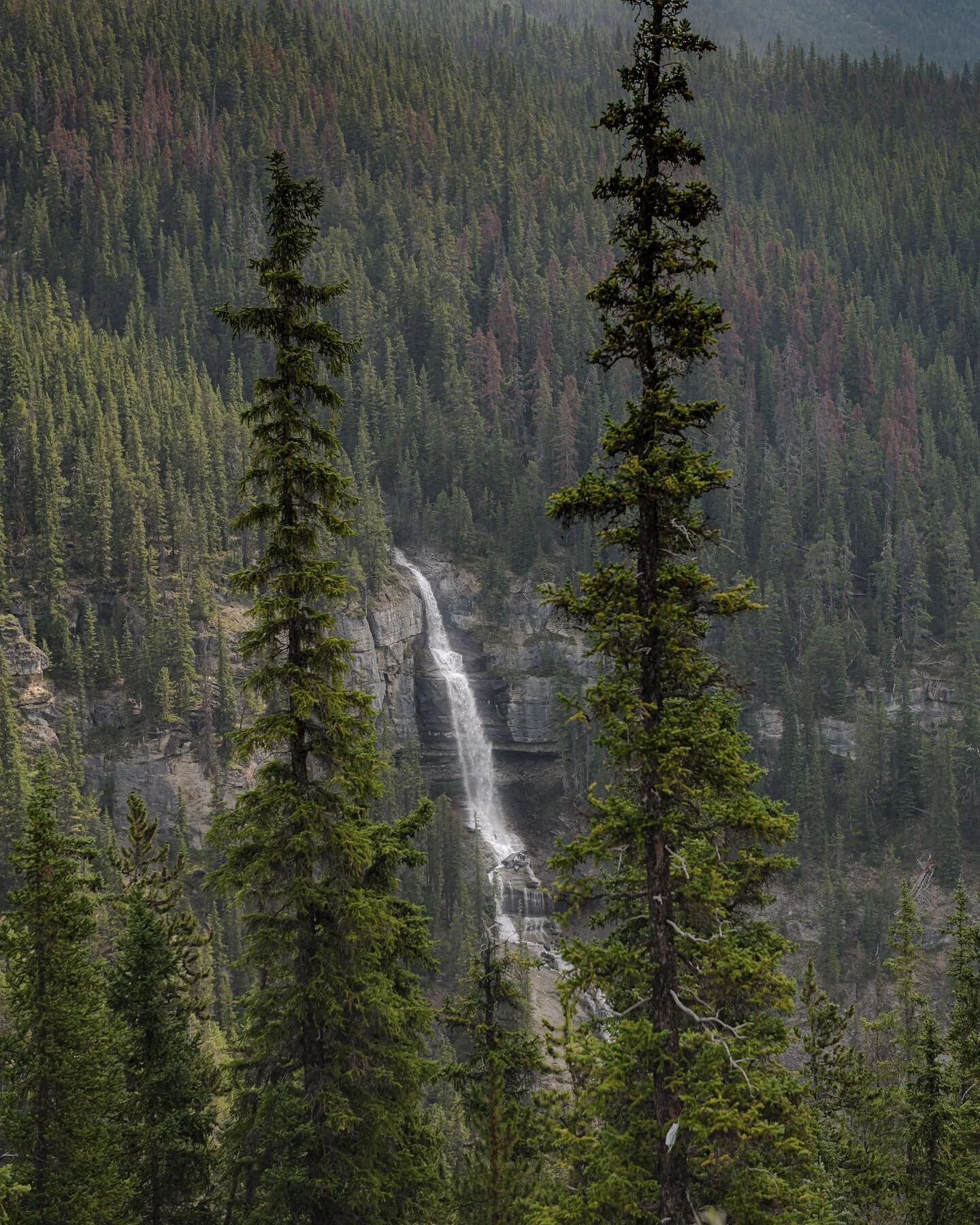 The waterfalls that you can find on the side of the road when you’re out west are amazing! ๐๏ธ
••••••••••••••••••••••••&bull