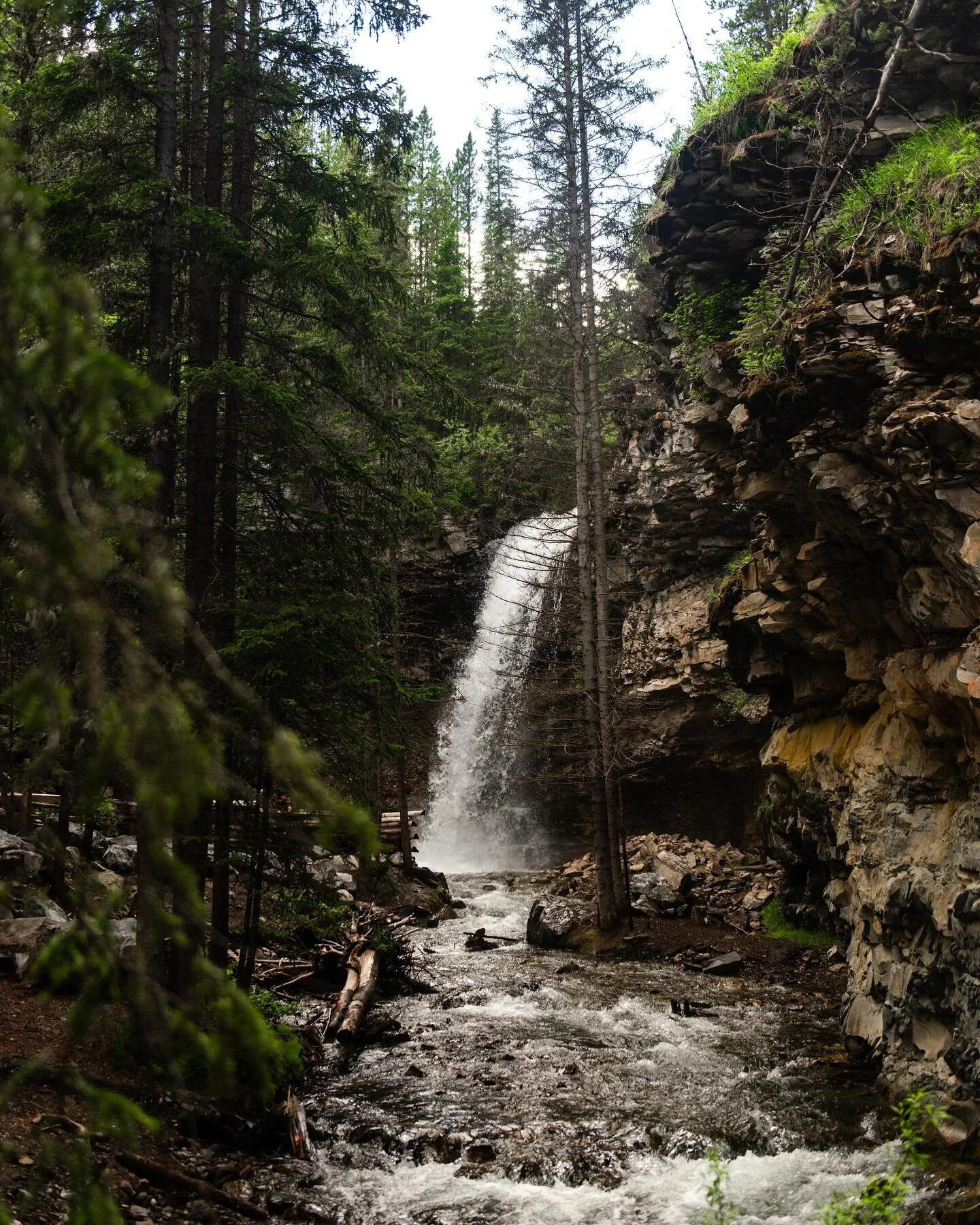 Forever breaking TLC’s rule and always chasing waterfalls! Being by water and in water brings me so much happiness! ๐ฒ
••••••••••••••••••••&bull