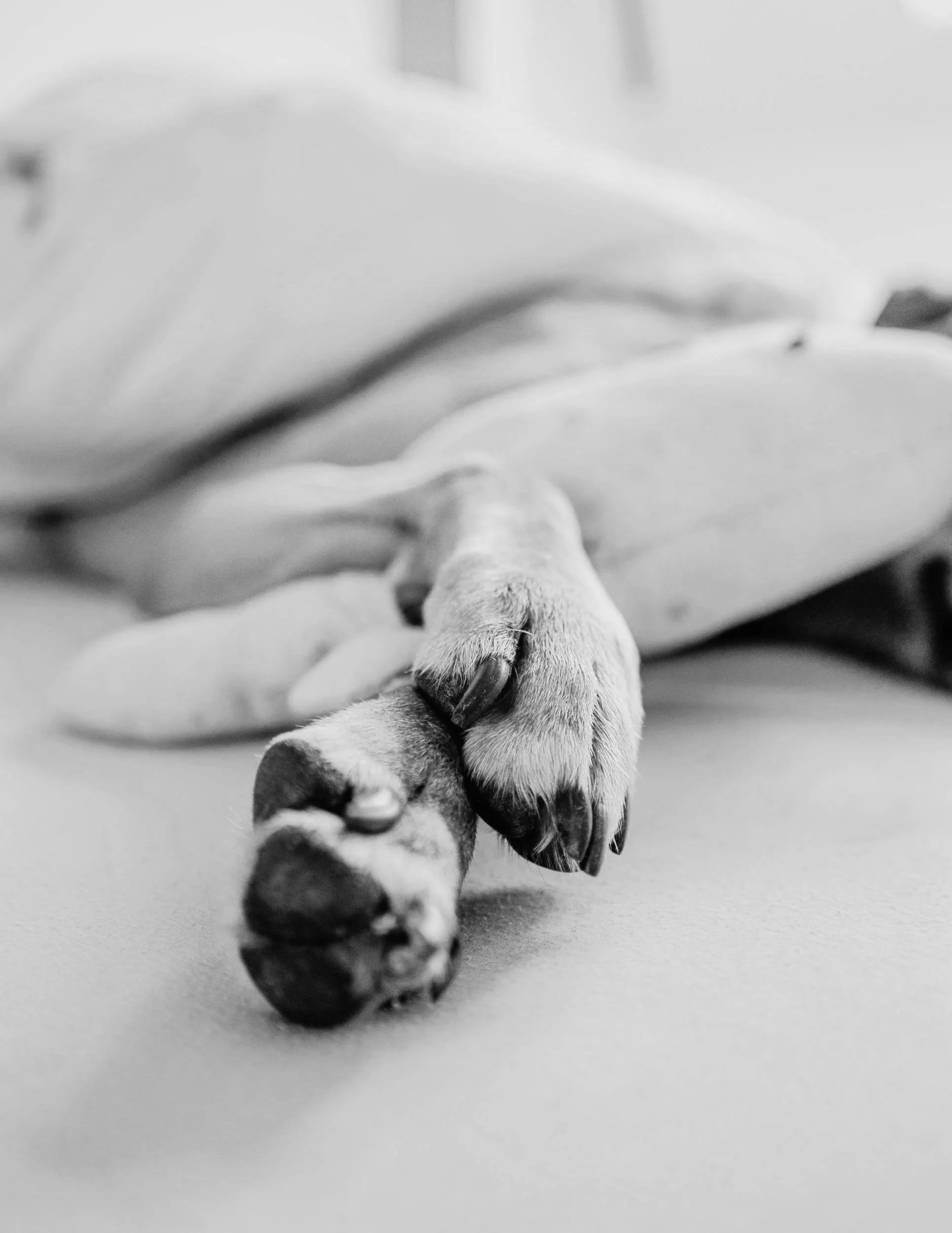 unsplash-image-rPC4QnaPqQ0.jpg