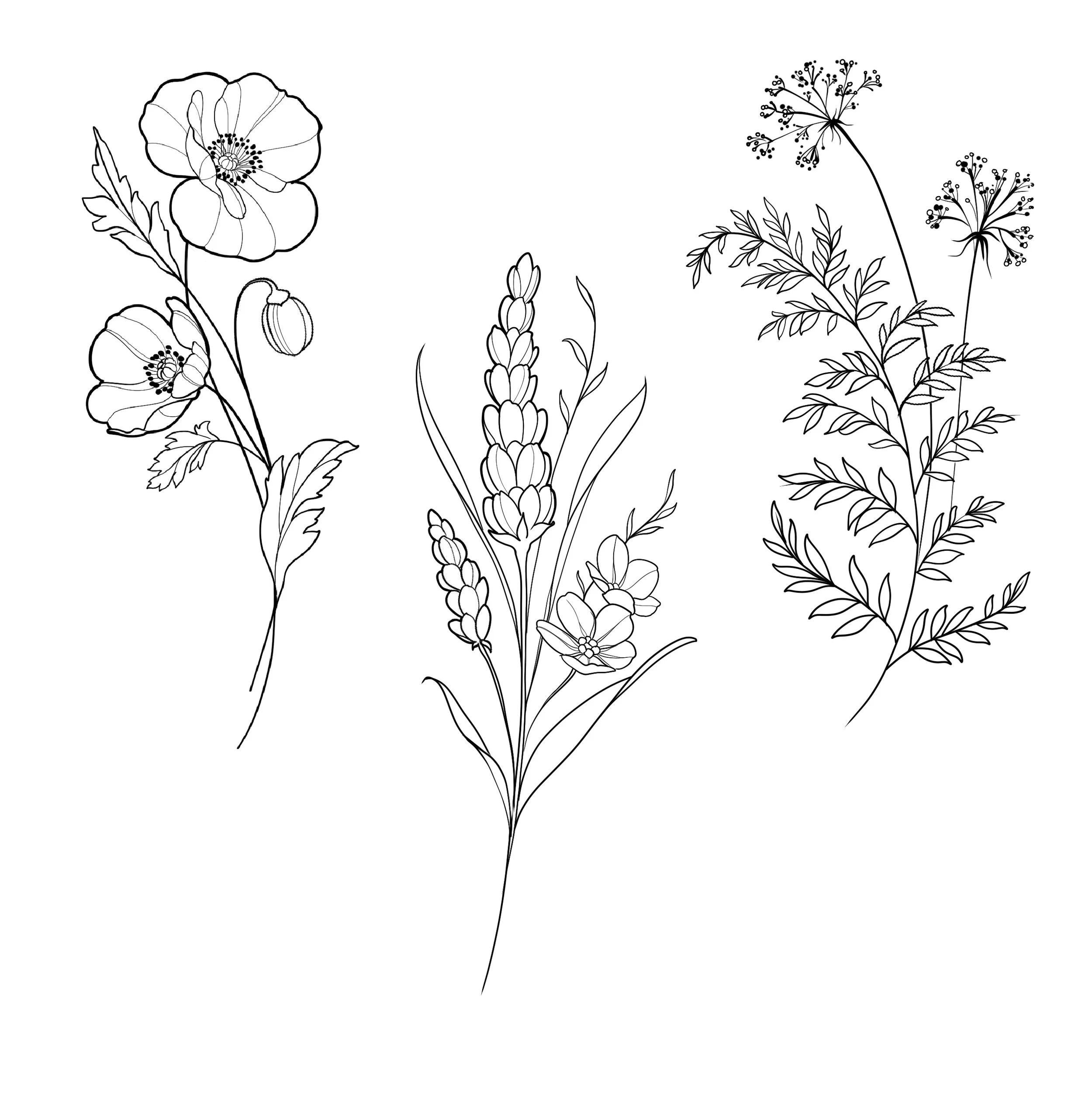 florals.jpg