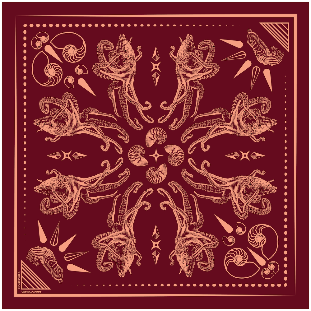 Bandana Cephalopods_v2.png