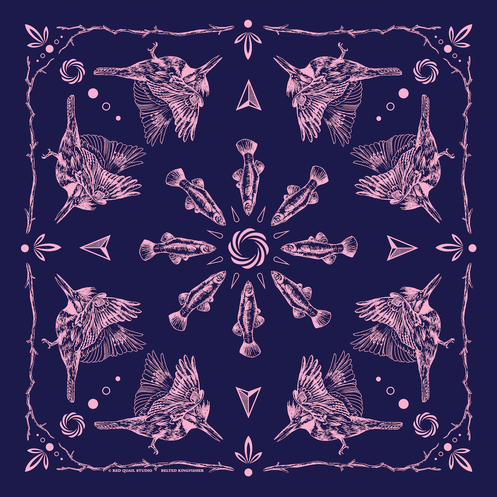 Bandana Kingfisher_v2_pink.png