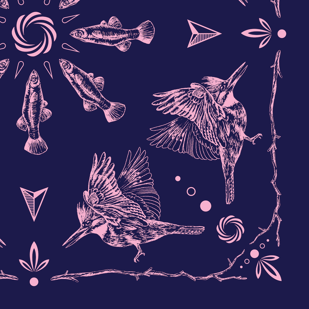 Bandana Kingfisher_v2_thumbnail.png