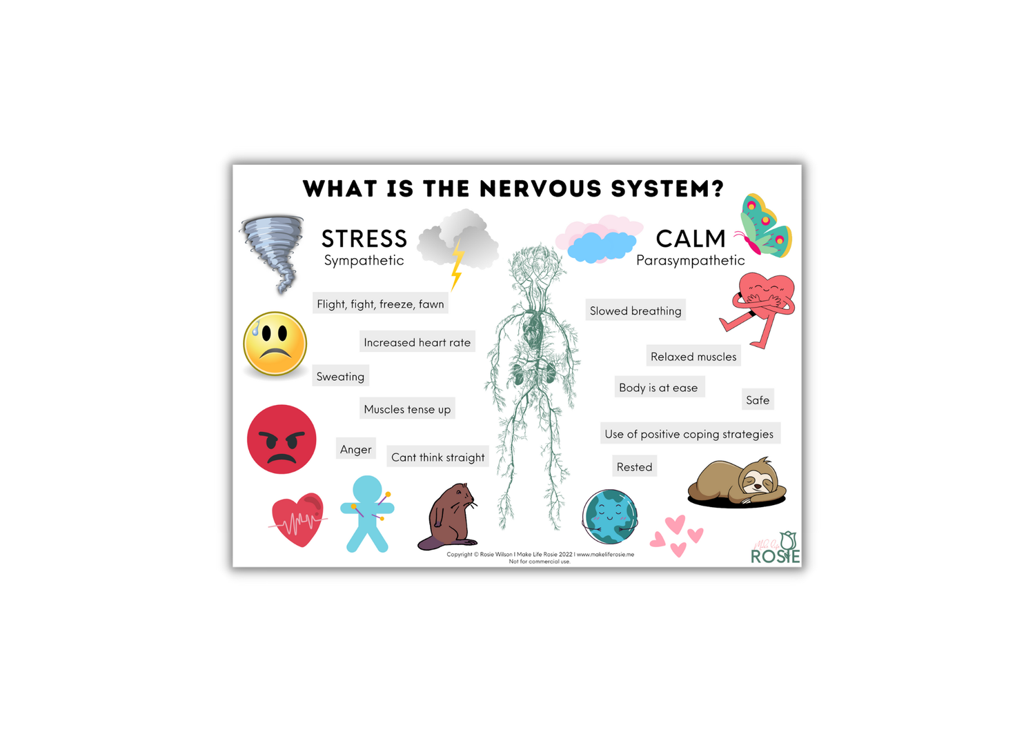 Nervous System For Kids Worksheets