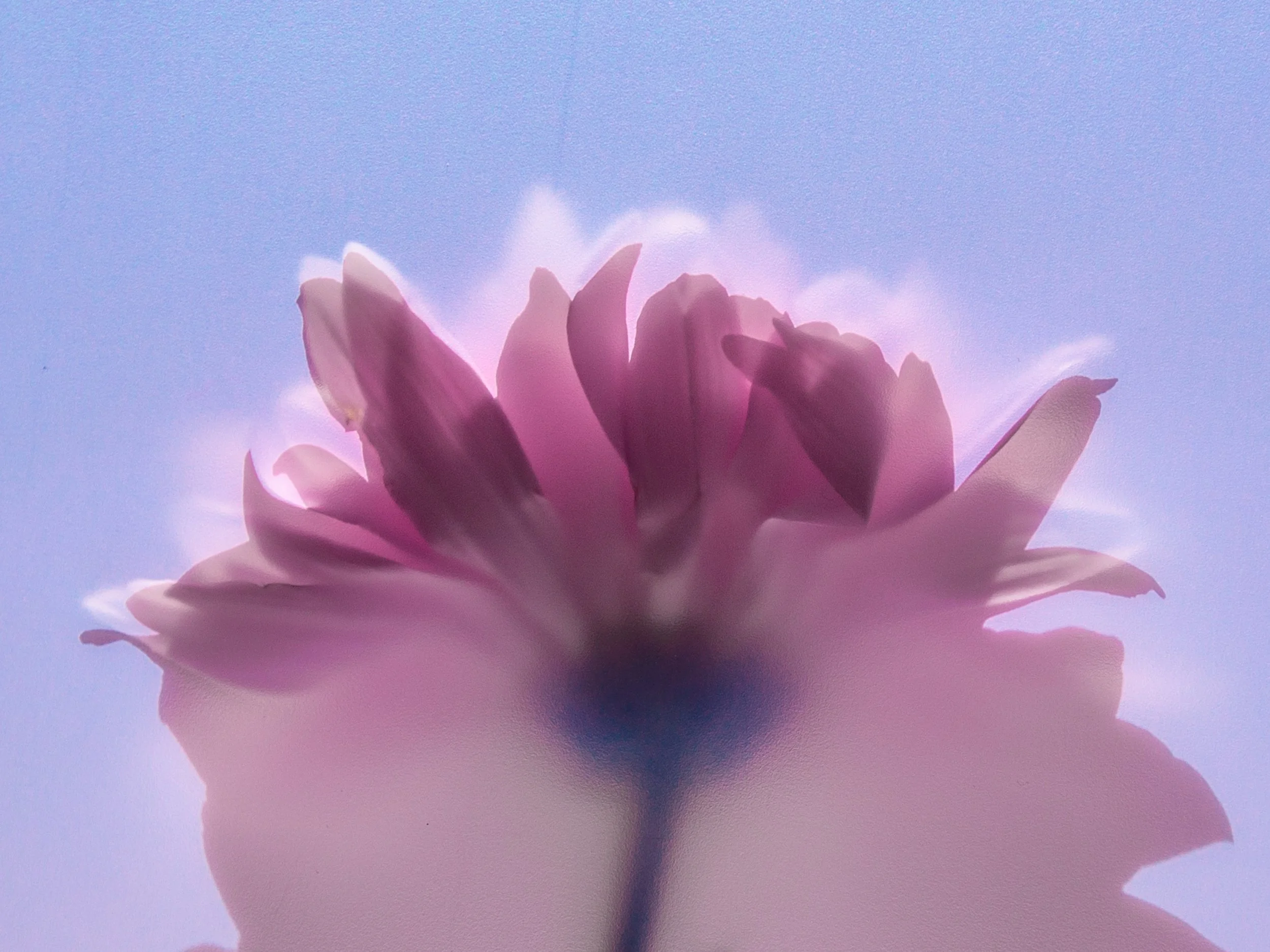9700_4x3_H.jpg